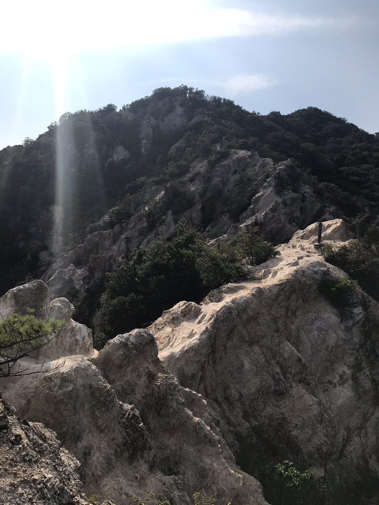 六甲全山縦走 須磨アルプス 馬の背 ナガメさんの六甲山 長峰山 摩耶山の活動データ Yamap ヤマップ