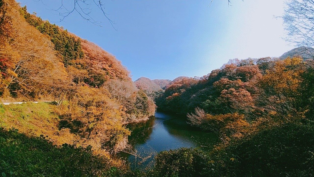 藤尾ダム周辺は自然豊かなところ １ Kazさんのモーメント Yamap ヤマップ