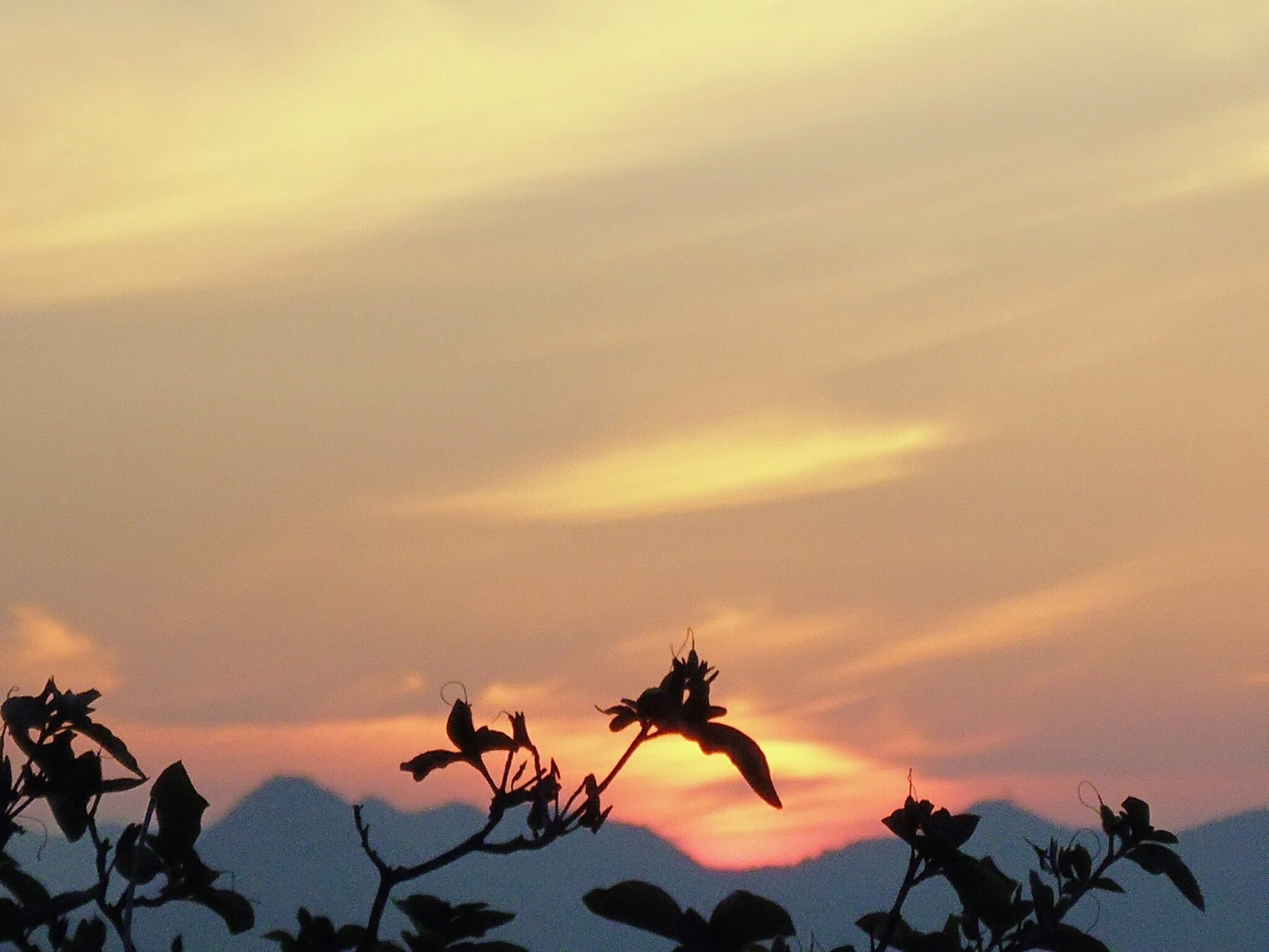 小富士山 麻生山 日の出 ハイク ひろとしさんの高御位山 播磨アルプスの活動データ Yamap ヤマップ