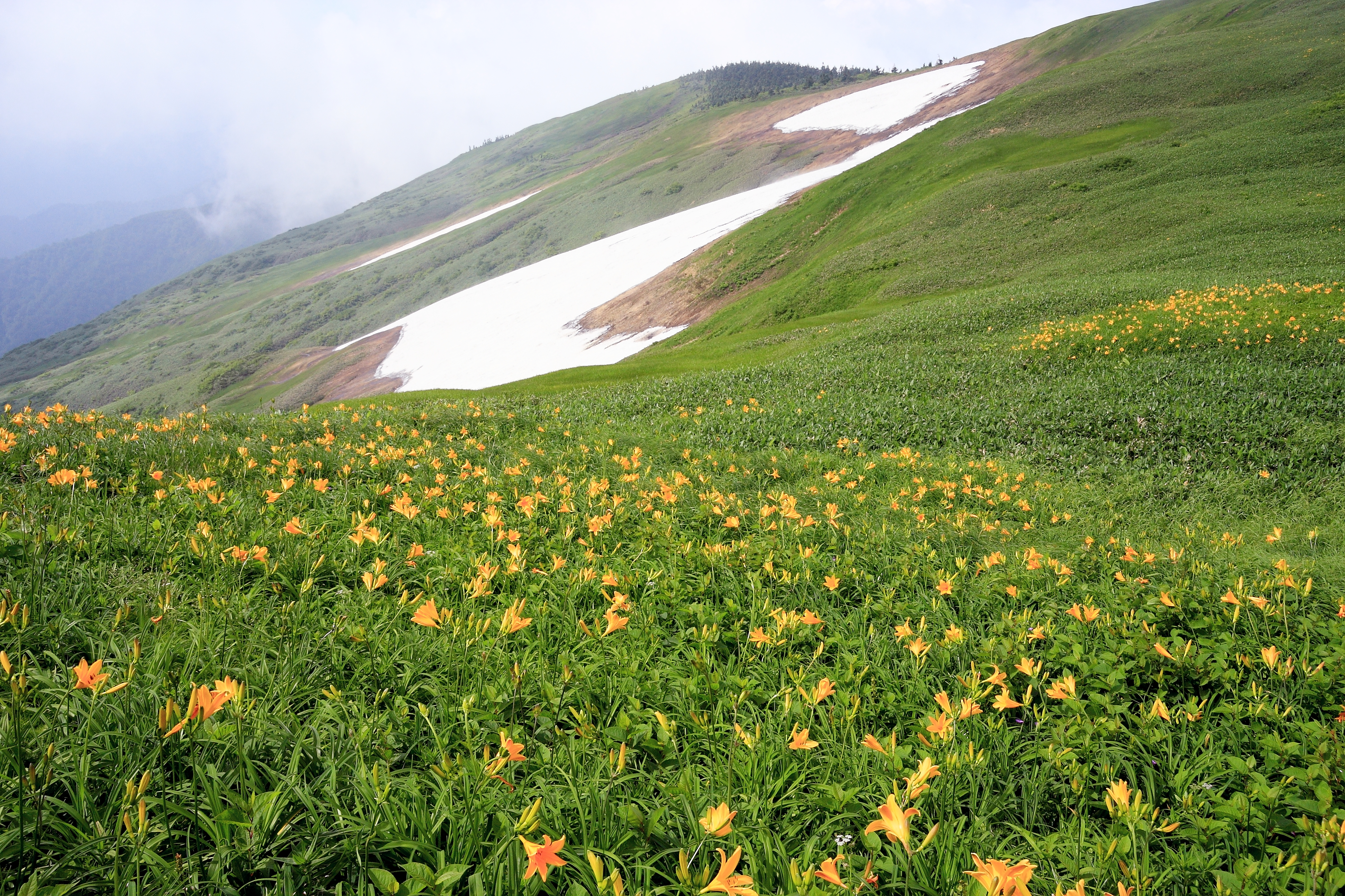 巻機山 群馬 新潟 の山総合情報ページ 登山ルート 写真 天気情報など Yamap ヤマップ