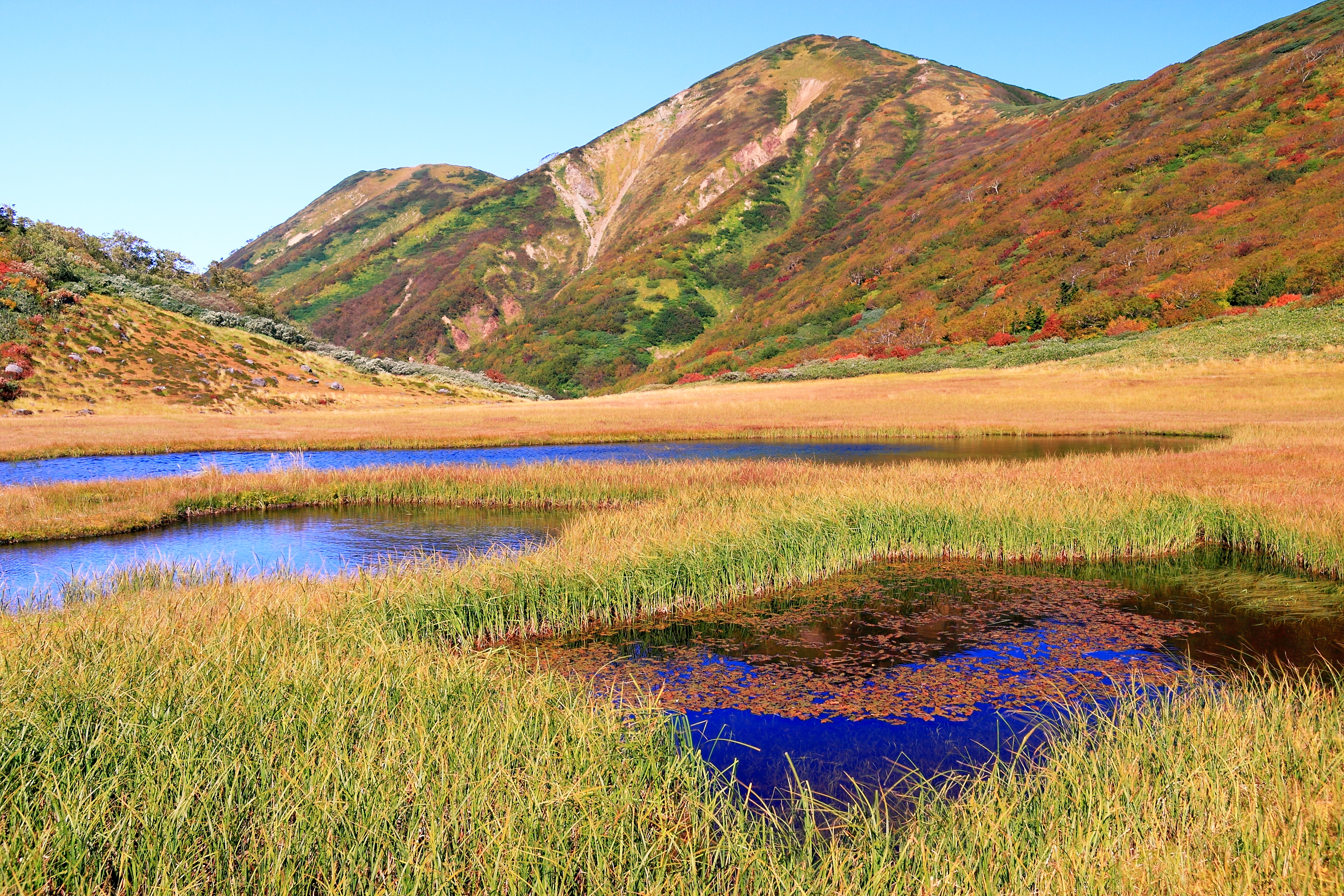 火打山の最新登山情報 / 人気の登山ルート、写真、天気など