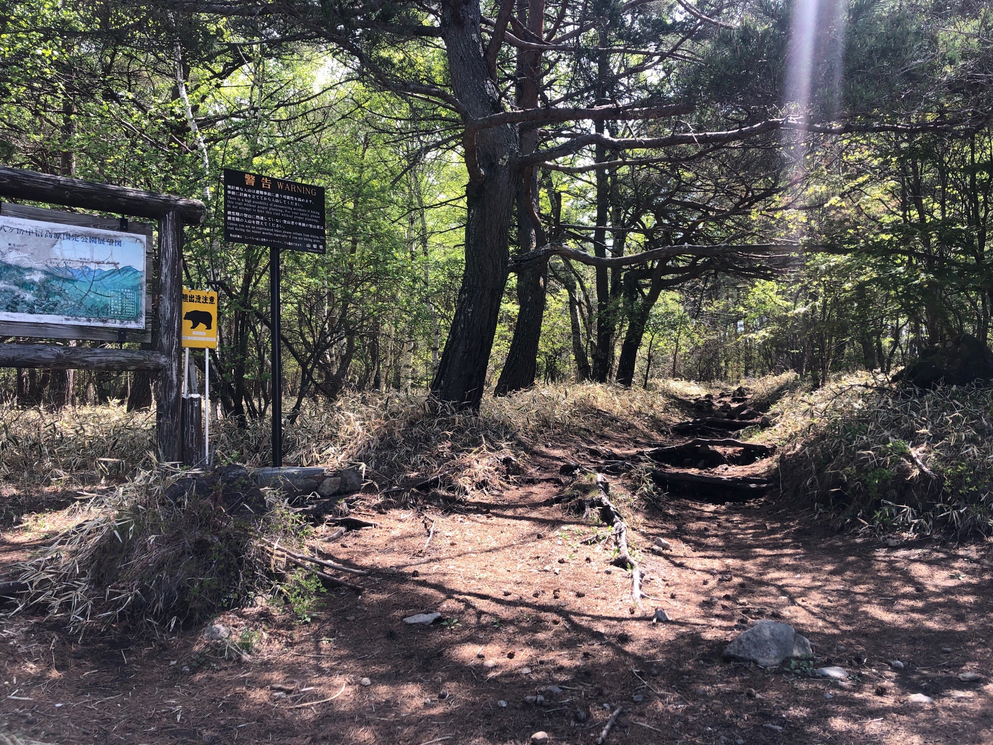 観音平、ここから登山道