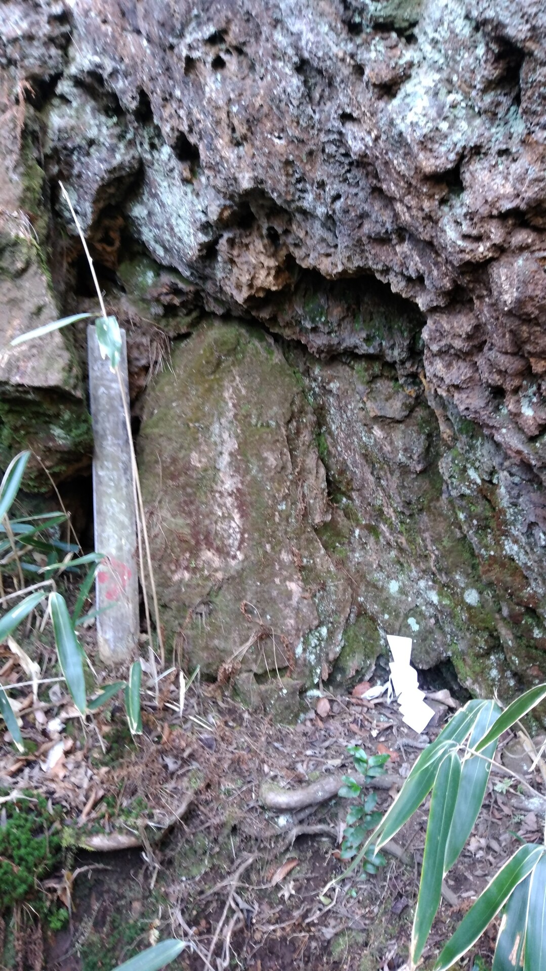 御岩神社 03 19 日立アルプストレイル 神峯山の写真26枚目 天岩戸 神さまが降臨した場所だそうです Yamap ヤマップ