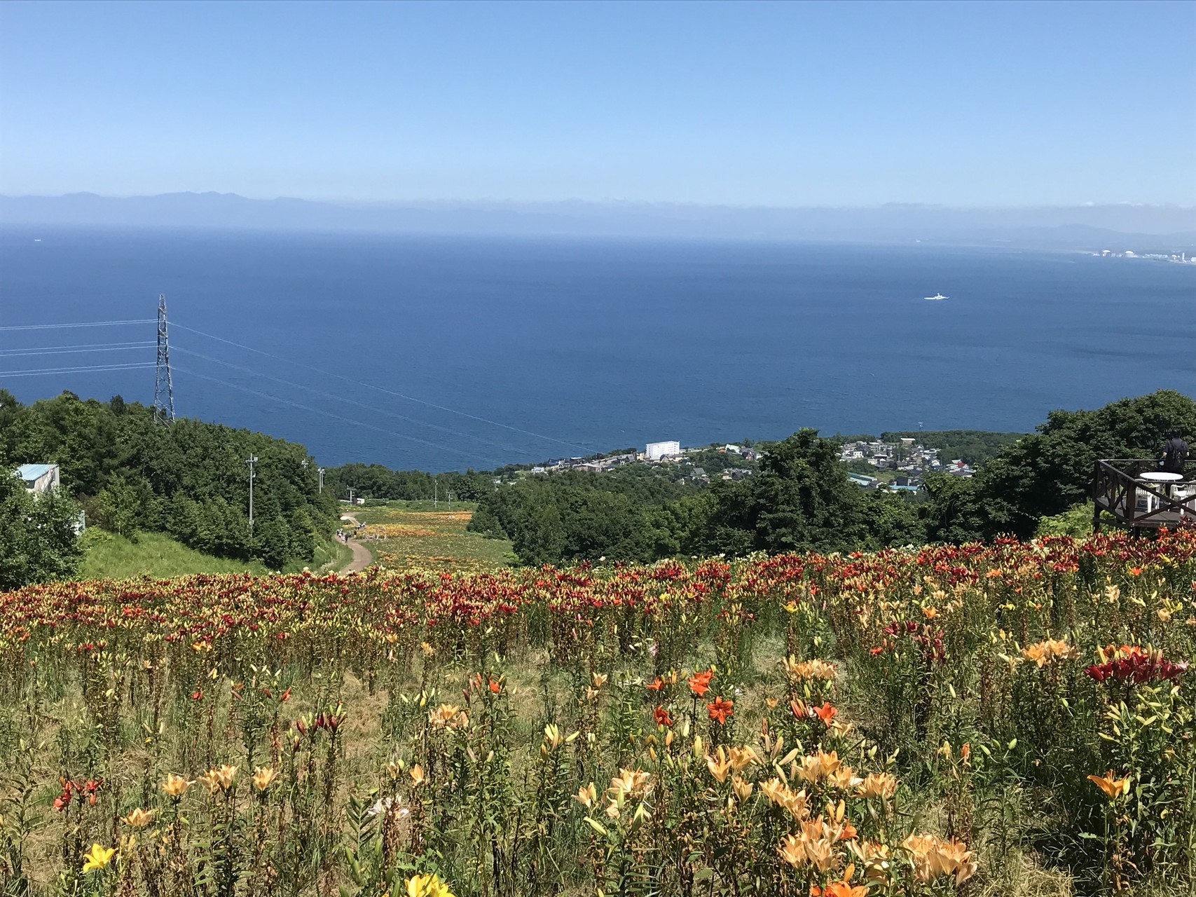 オーンズ春香山ゆり園 Satoさんの春香山 銭函峠 銭函天狗山の活動データ Yamap ヤマップ