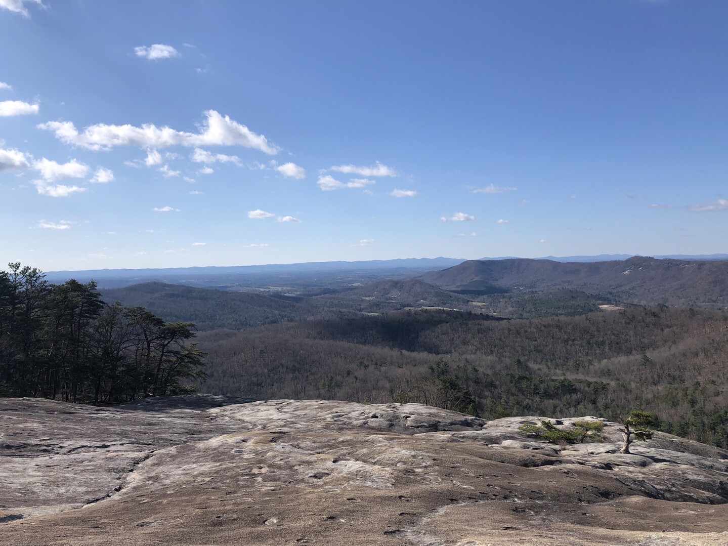 ストーン・マウンテン / Charlottemt.trclbさんのウォーキングの活動データ YAMAP / ヤマップ