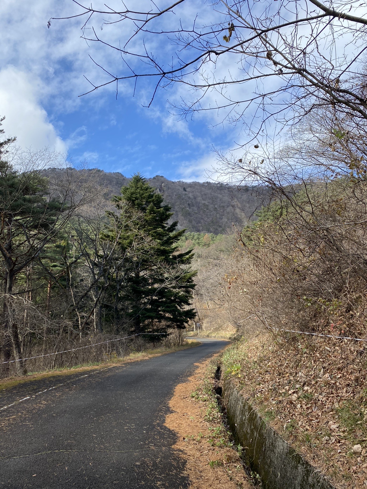 はんだぐん 半田軍 半田に陶酔し見守っている集団 かげちゃさんの半田山 萬歳楽山の活動データ Yamap ヤマップ