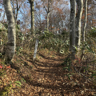 金剛堂山 1km地点。この辺りは紅葉がGOOD🍁