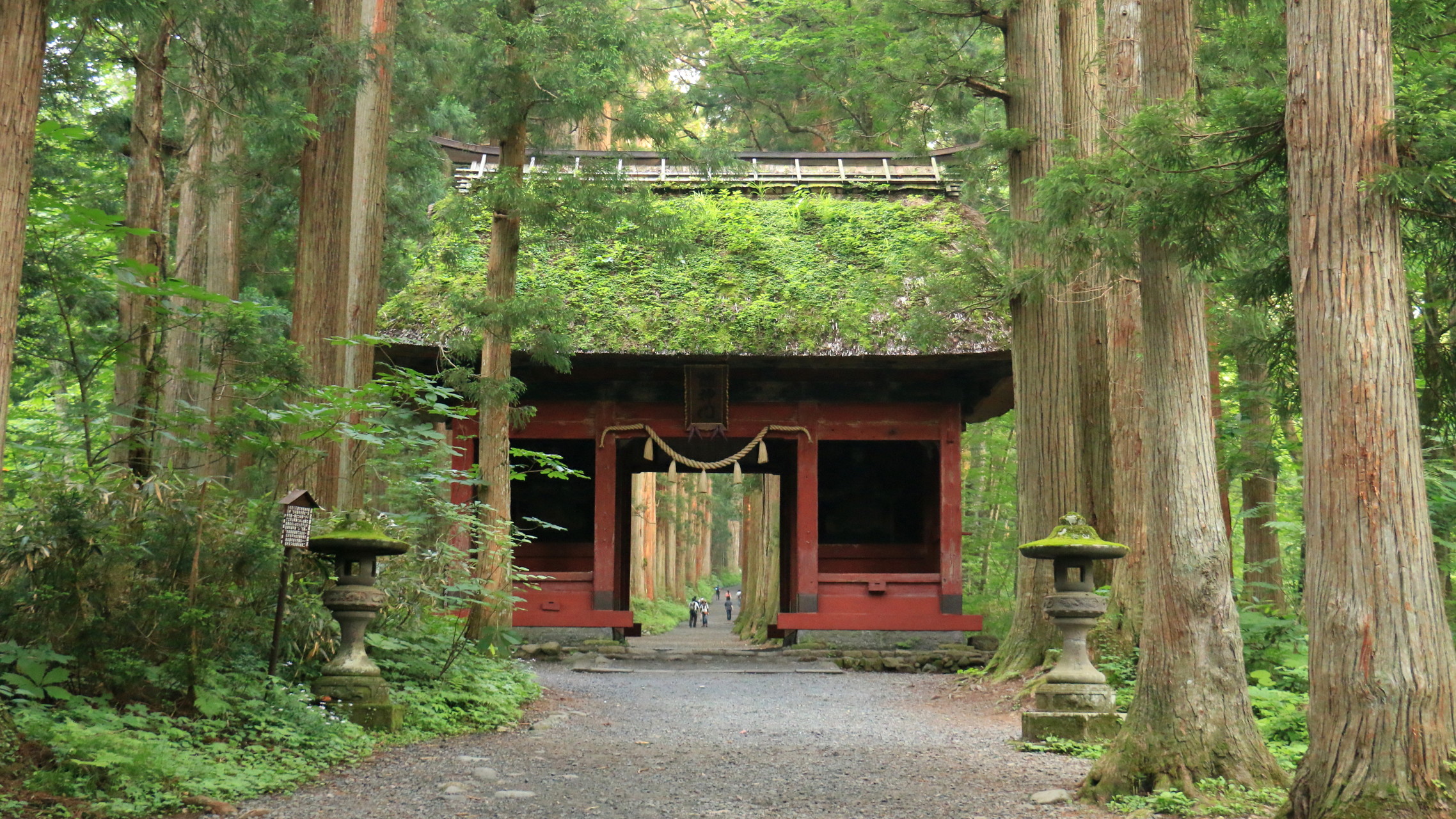 戸隠山 本院岳 西岳 鏡池から周回 たろすけさんの高妻山 戸隠山の活動日記 Yamap ヤマップ