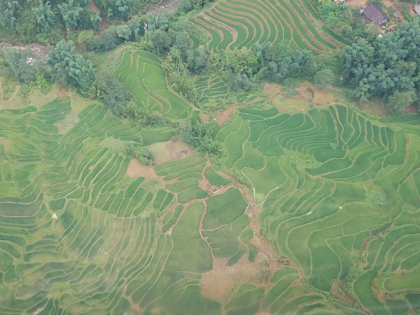 ファンシーパンマウンテン ロープウェイでゆるゆる登山はどこまでも みぃちょんさんのルアンパバーンの活動日記 Yamap ヤマップ