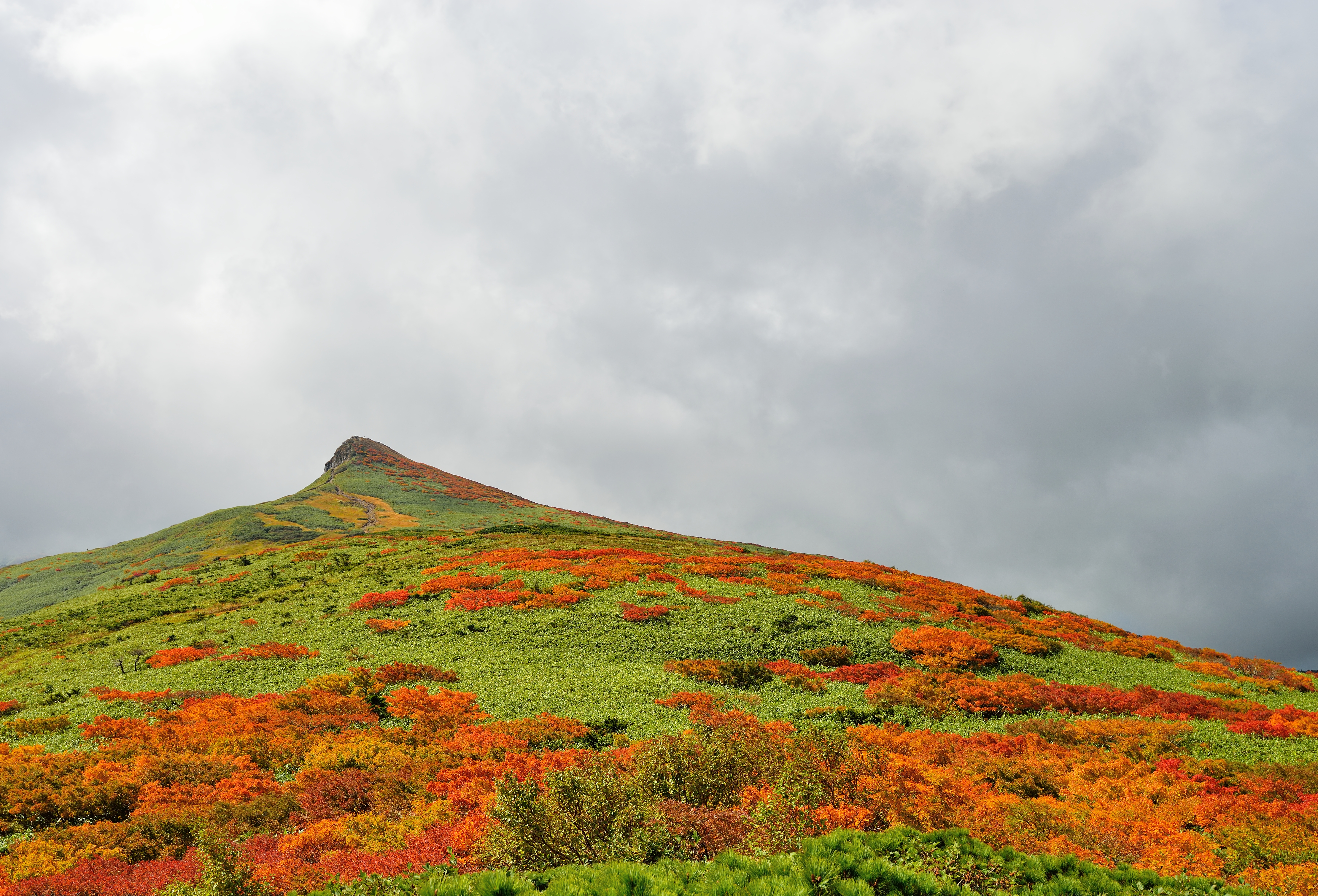 烏帽子岳（乳頭山）の最新登山情報 / 人気の登山ルート、写真