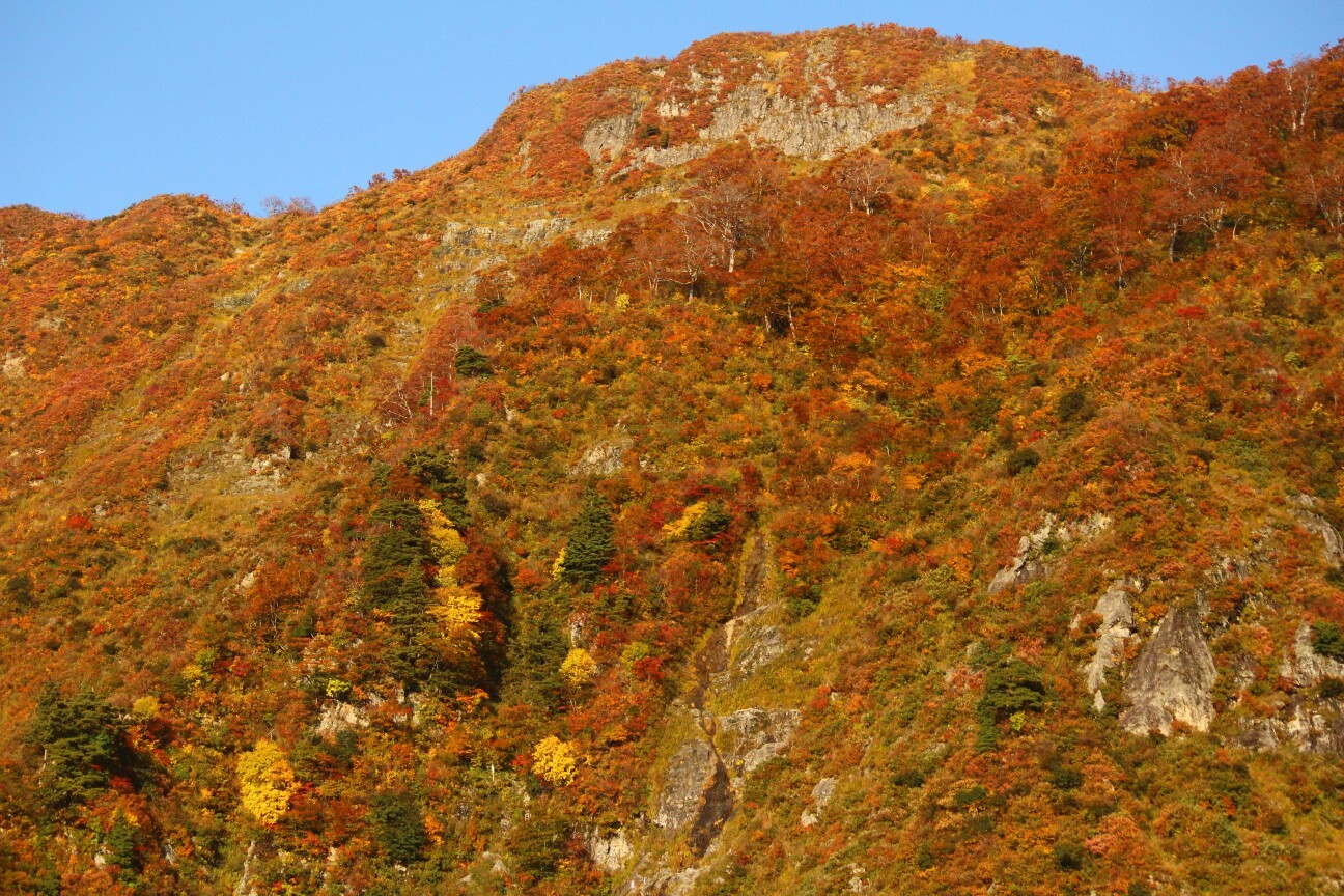 摩耶山の最新登山情報 人気の登山ルート 写真 天気など Yamap ヤマップ
