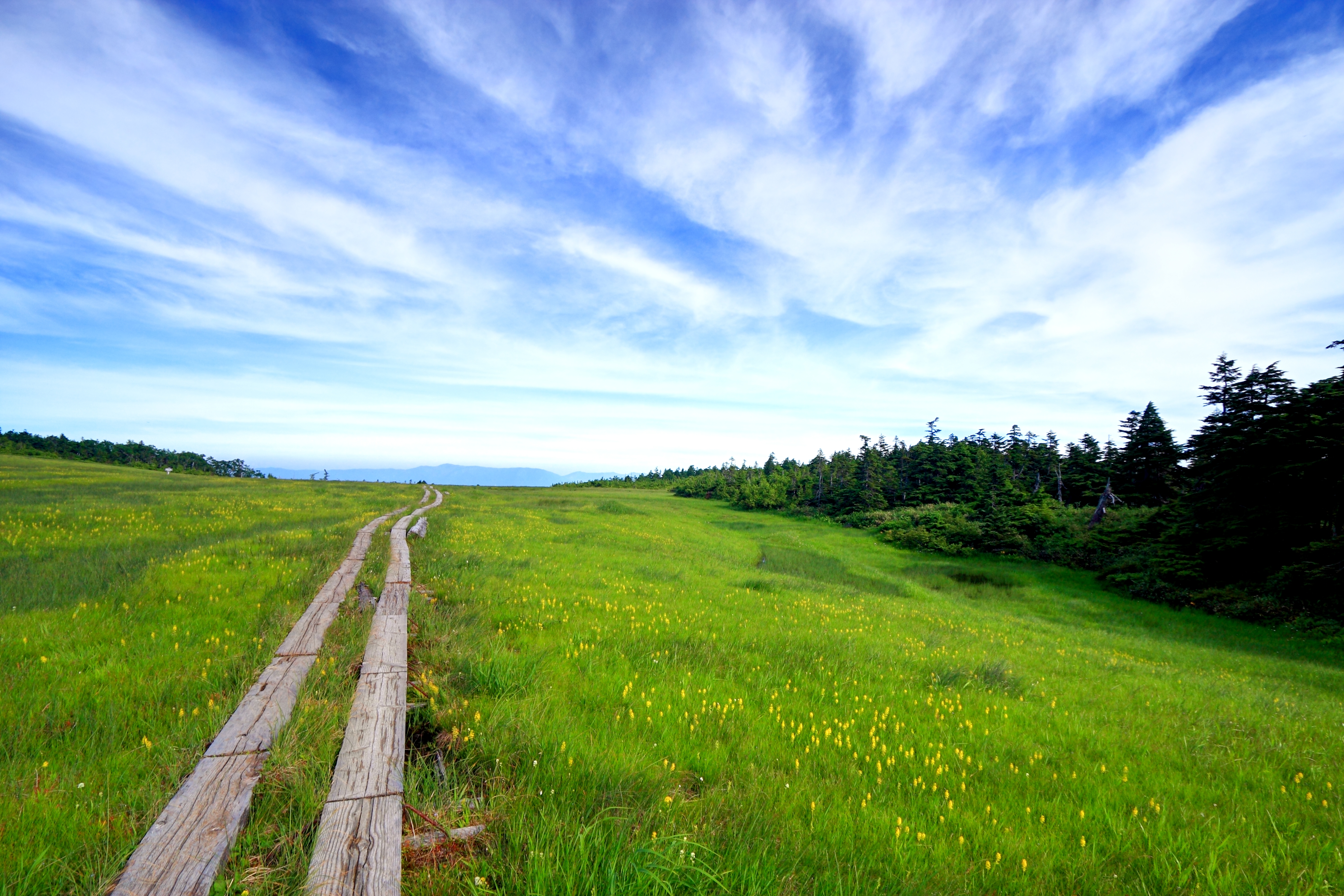 田代山の最新登山情報 人気の登山ルート 写真 天気など Yamap ヤマップ