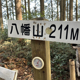 千葉山・白岩寺山 気温15℃。絶好♪