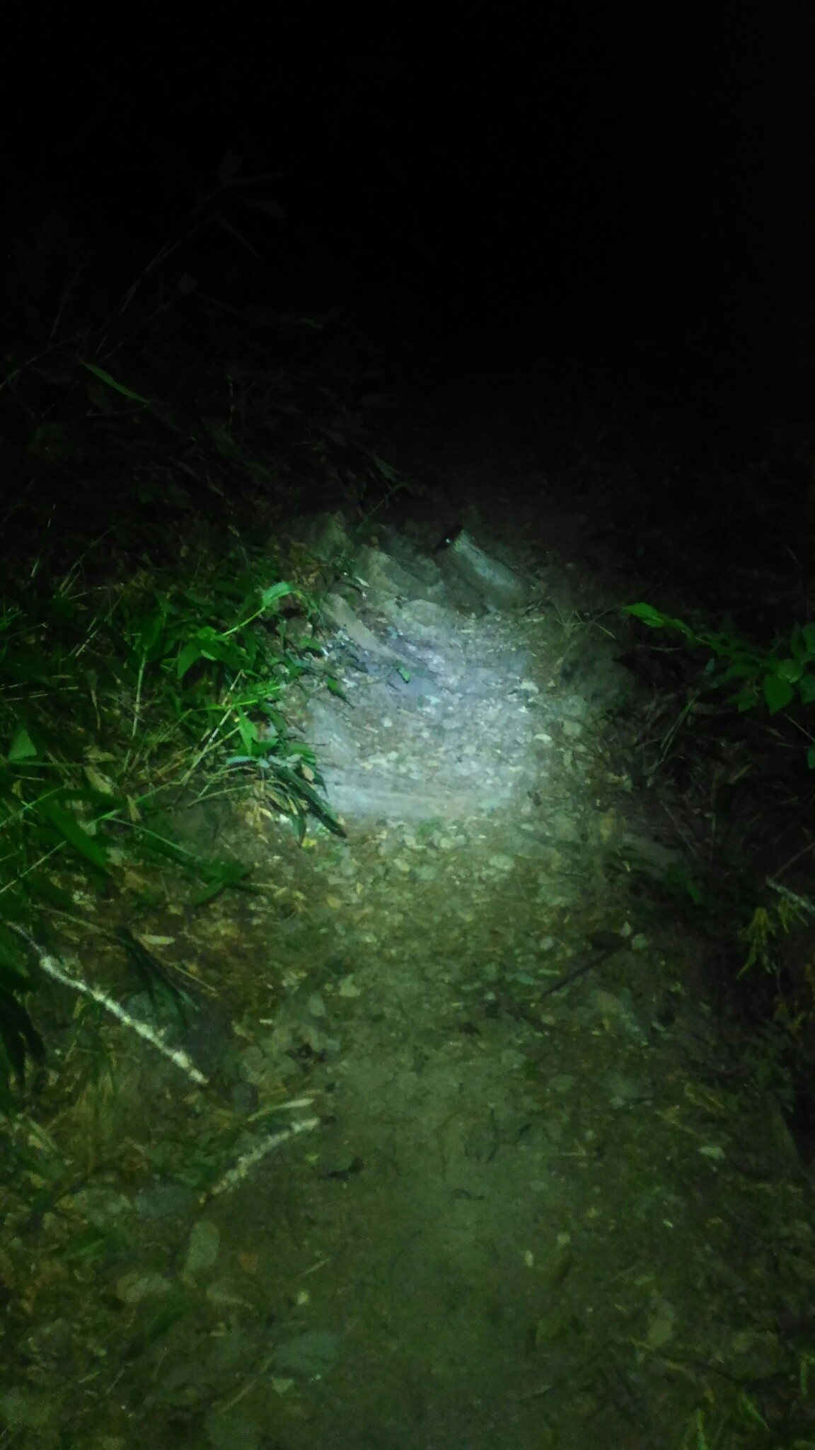 夜の山を歩く まろさんの槍ヶ岳 穂高岳 上高地の活動データ Yamap ヤマップ