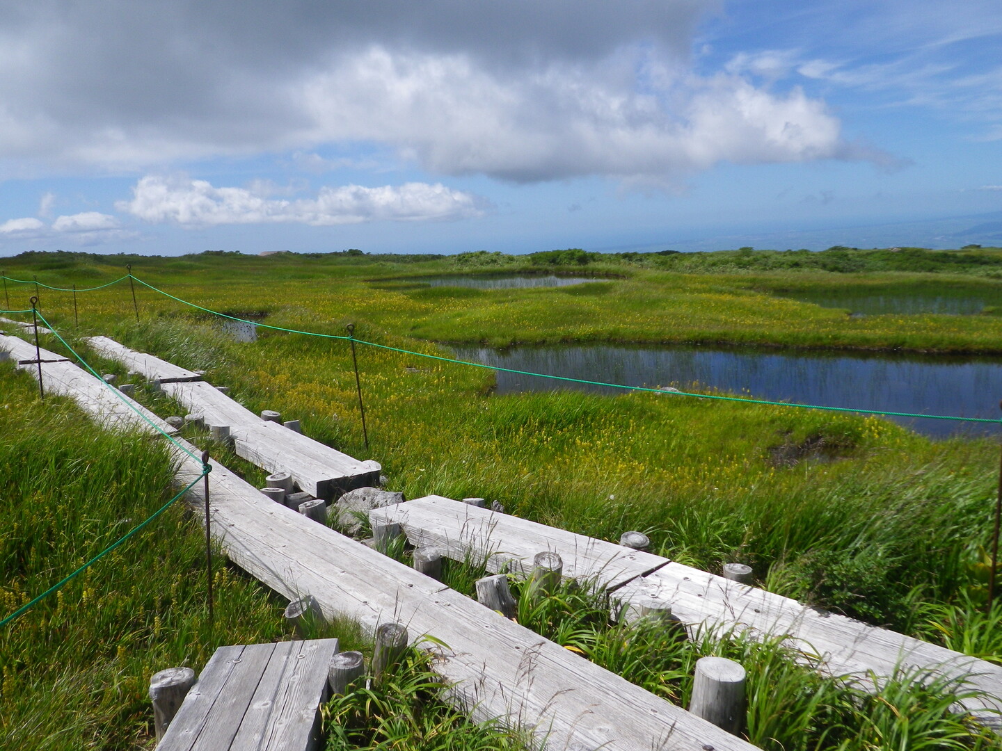 ｲｽﾗﾃﾞﾋﾟﾉｽのページ Yamap ヤマップ