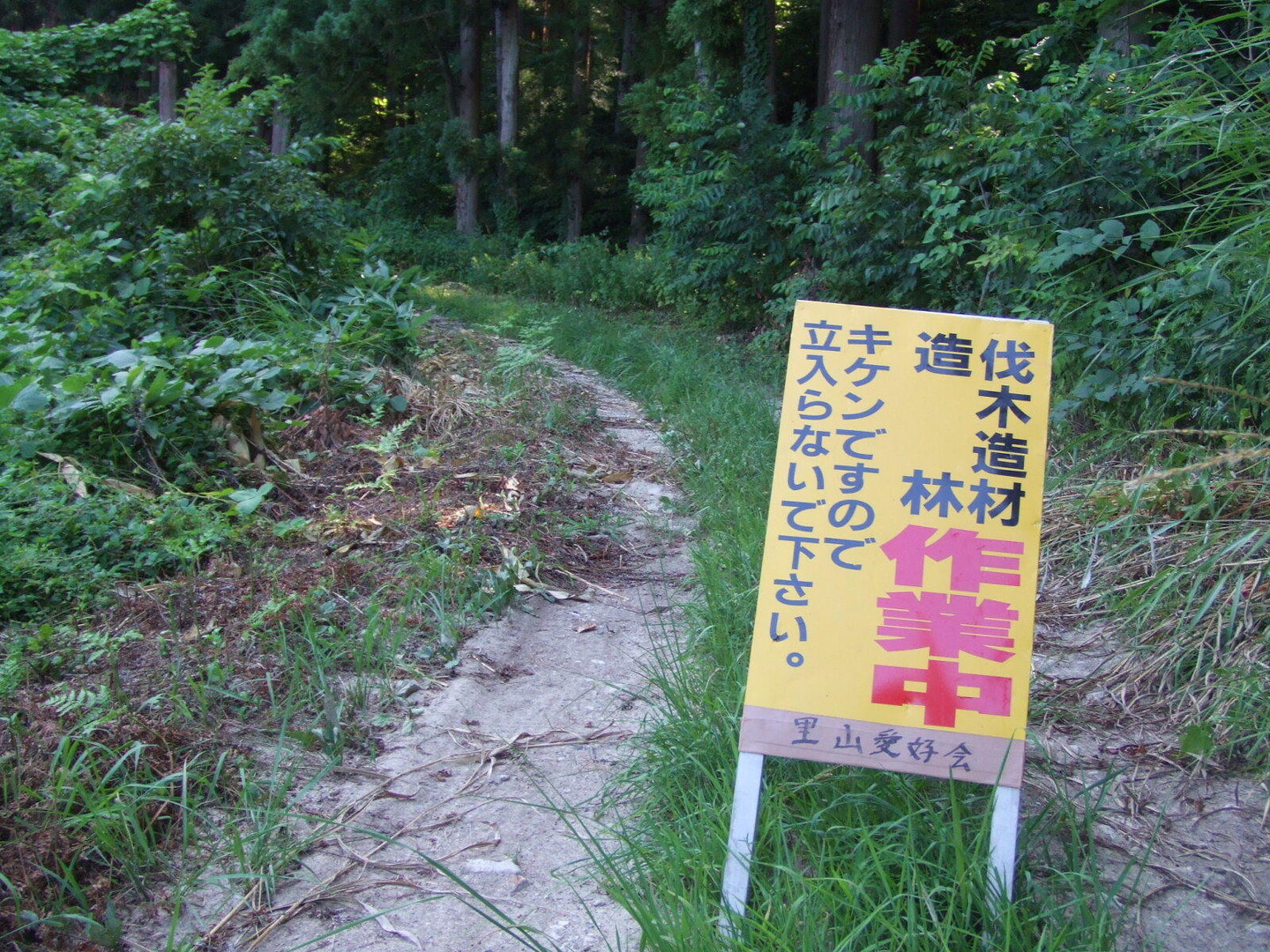 山形県米沢市 大森山森林公園 市民の森の続き ぽんすけぽんさんの米沢市の活動日記 Yamap ヤマップ