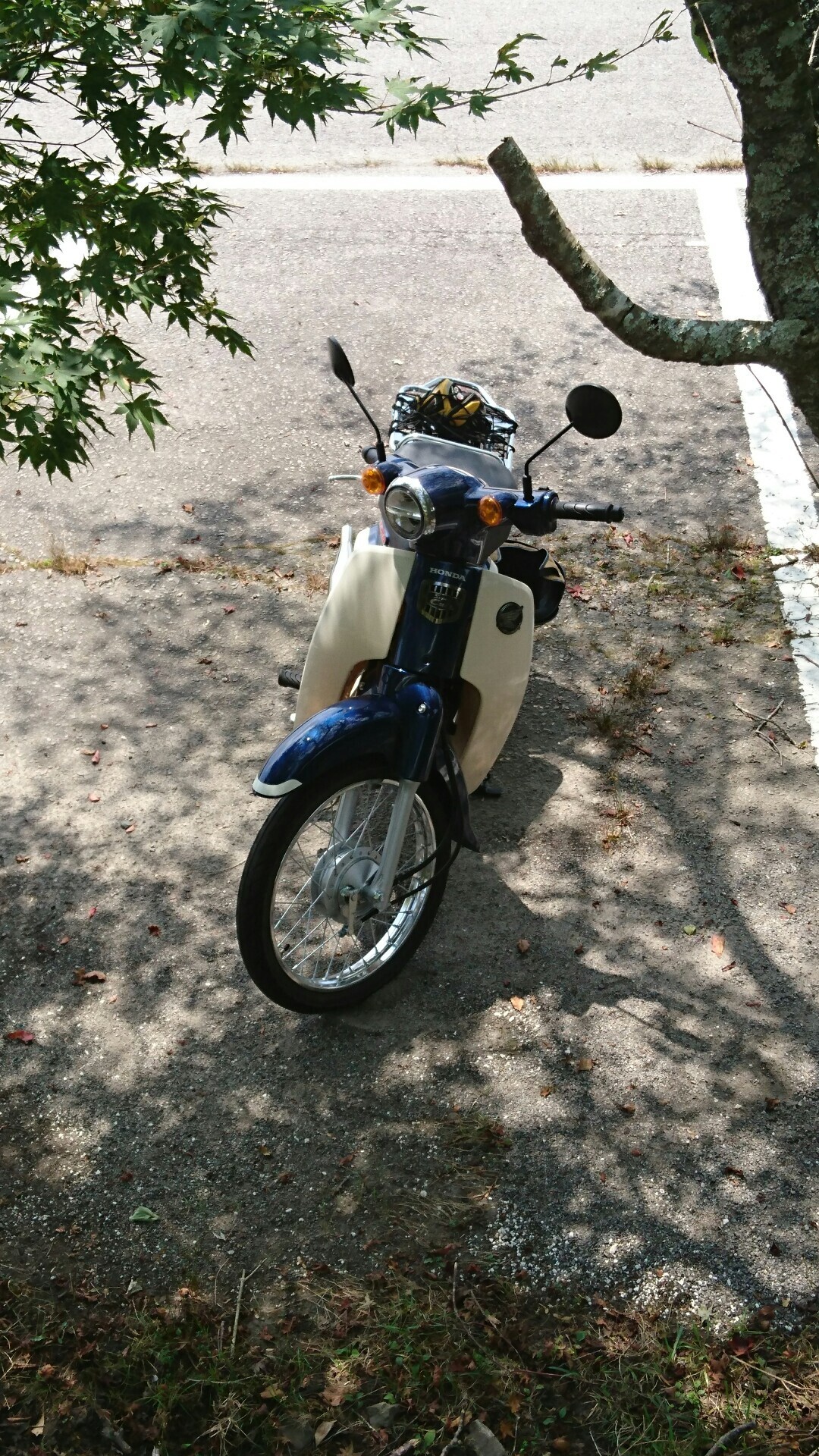 本宮山 東三河 スーパーカブ ツーリング Hakotanさんの本宮山 大日山 風頭山の活動日記 Yamap ヤマップ