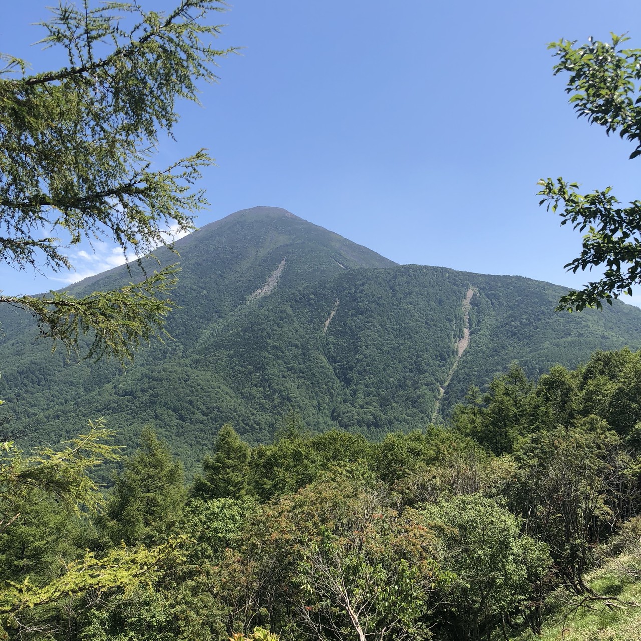 蓼科山向かいの八子ヶ峰から白樺湖へ軽快トレッキング（蓼科山は