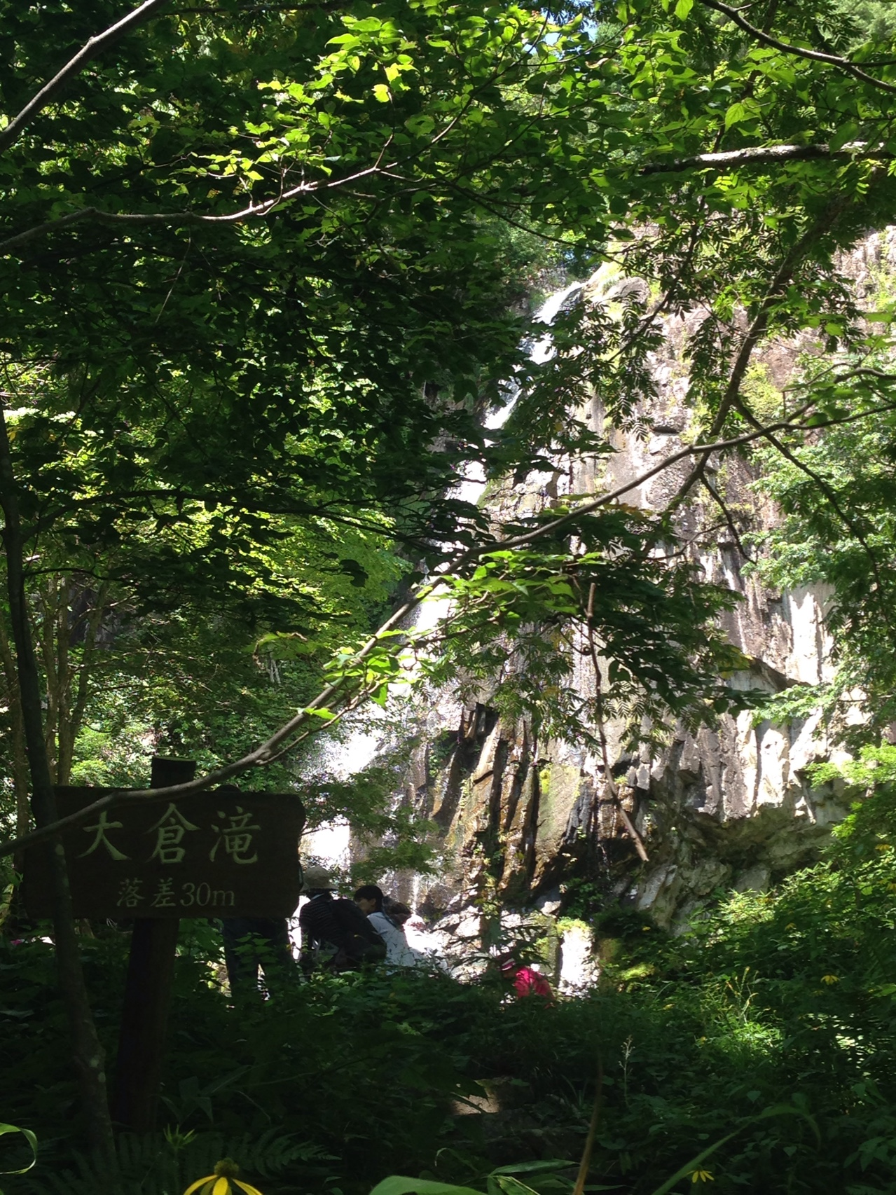 飛騨清見 森林公園おおくら百滝めぐり ミッヒさんの本宮山 大日山 風頭山の活動データ Yamap ヤマップ