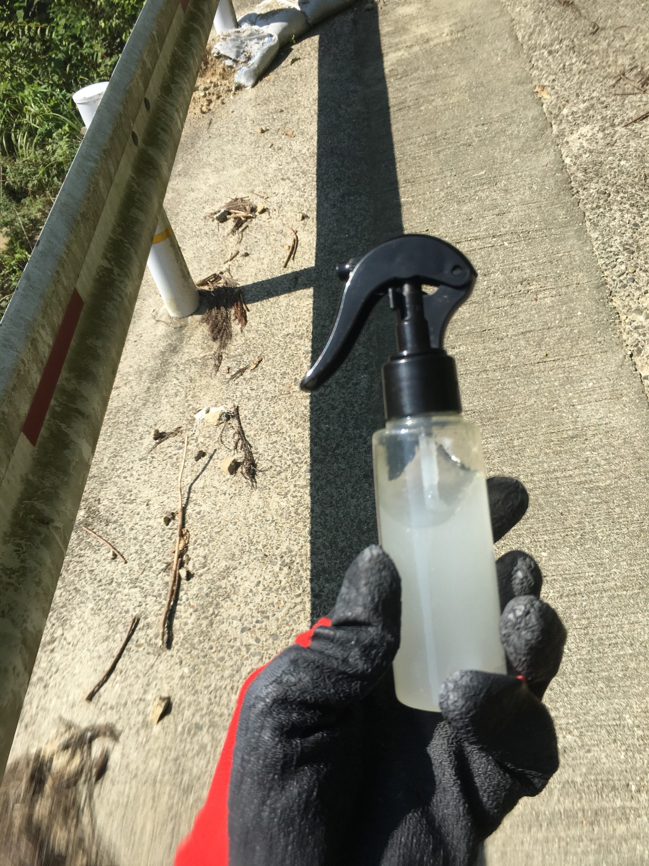 金剛山 本気の 沢 デビューだ Kazuさんの金剛山 二上山 大和葛城山の活動日記 Yamap ヤマップ