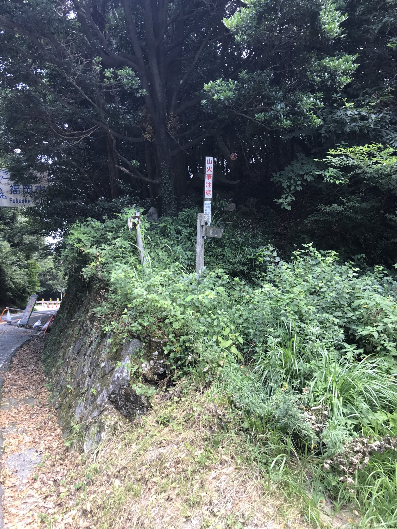 脊振山系稜線歩き 金山 井原山 おんたんさんの脊振山 金山の活動日記 Yamap ヤマップ