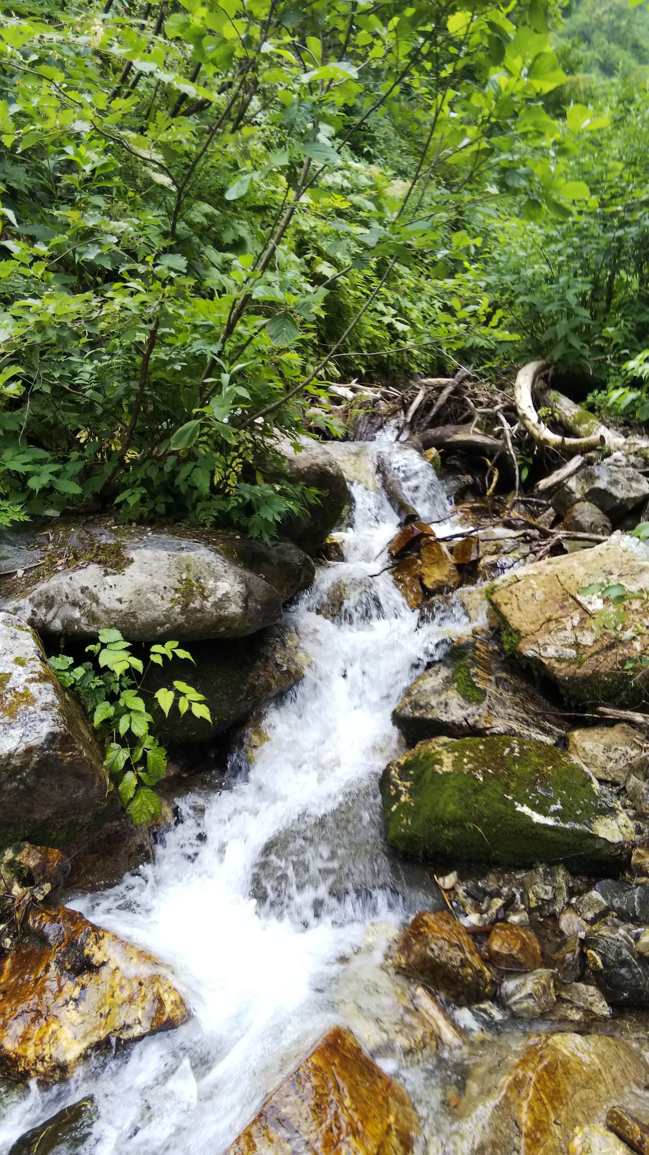 馬場島キャンプ場から標高1255m中山登山をしてきました カズ凜さんの大熊山 クズバ山 中山の活動日記 Yamap ヤマップ