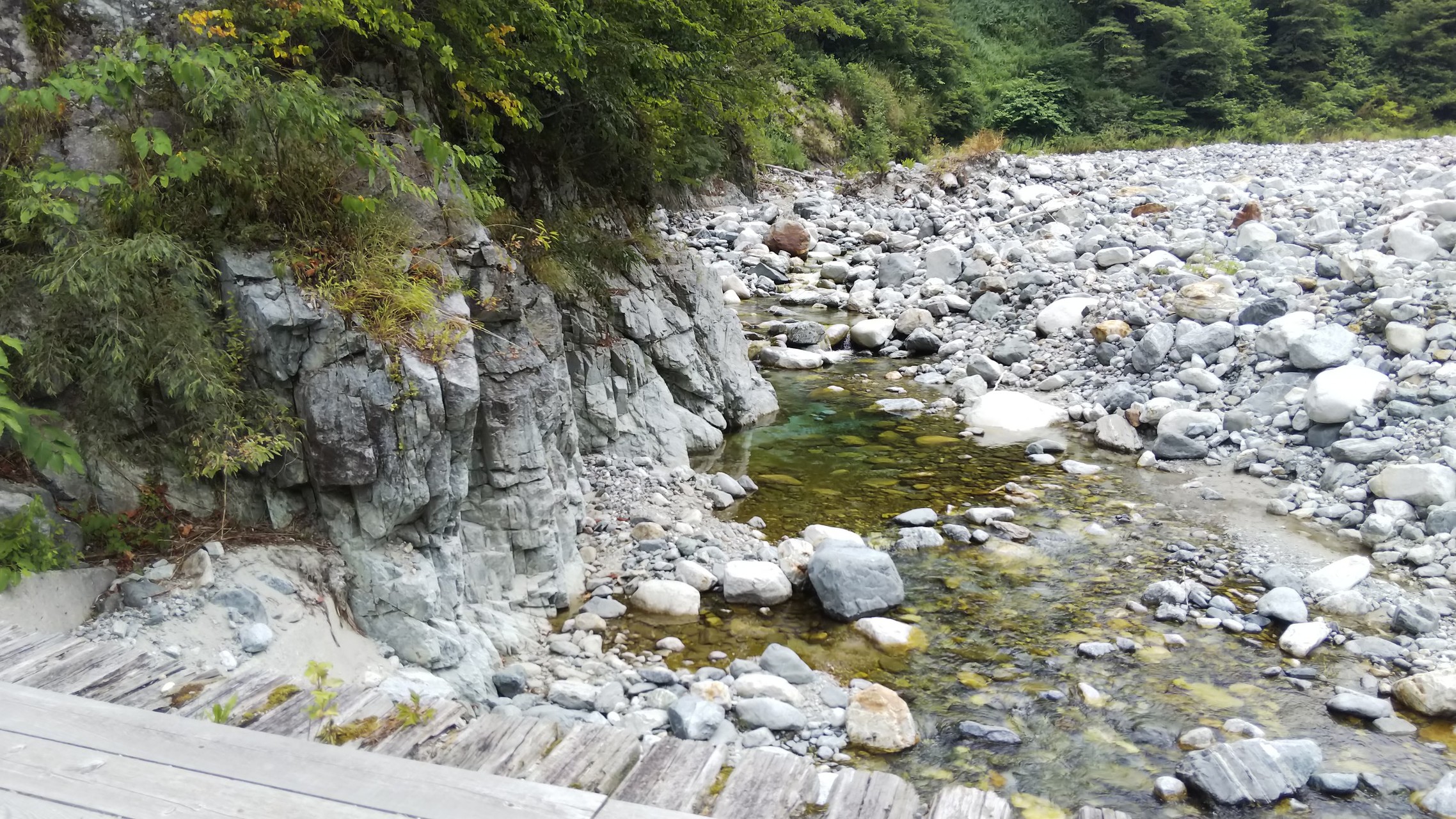 馬場島キャンプ場から標高1255m中山登山をしてきました カズ凜さんの大熊山 クズバ山 中山の活動日記 Yamap ヤマップ