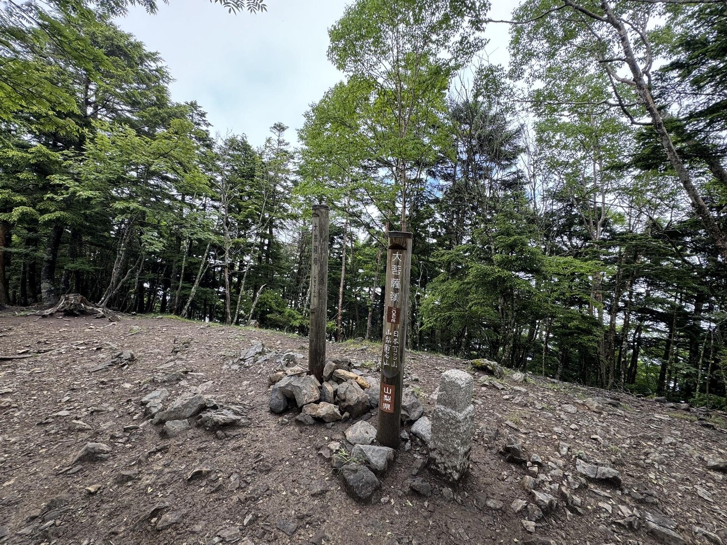 大菩薩嶺 福ちゃん荘テント泊 / あきーにょ ︎さんの大菩薩嶺・鶏冠山・大マテイ山の活動データ YAMAP / ヤマップ