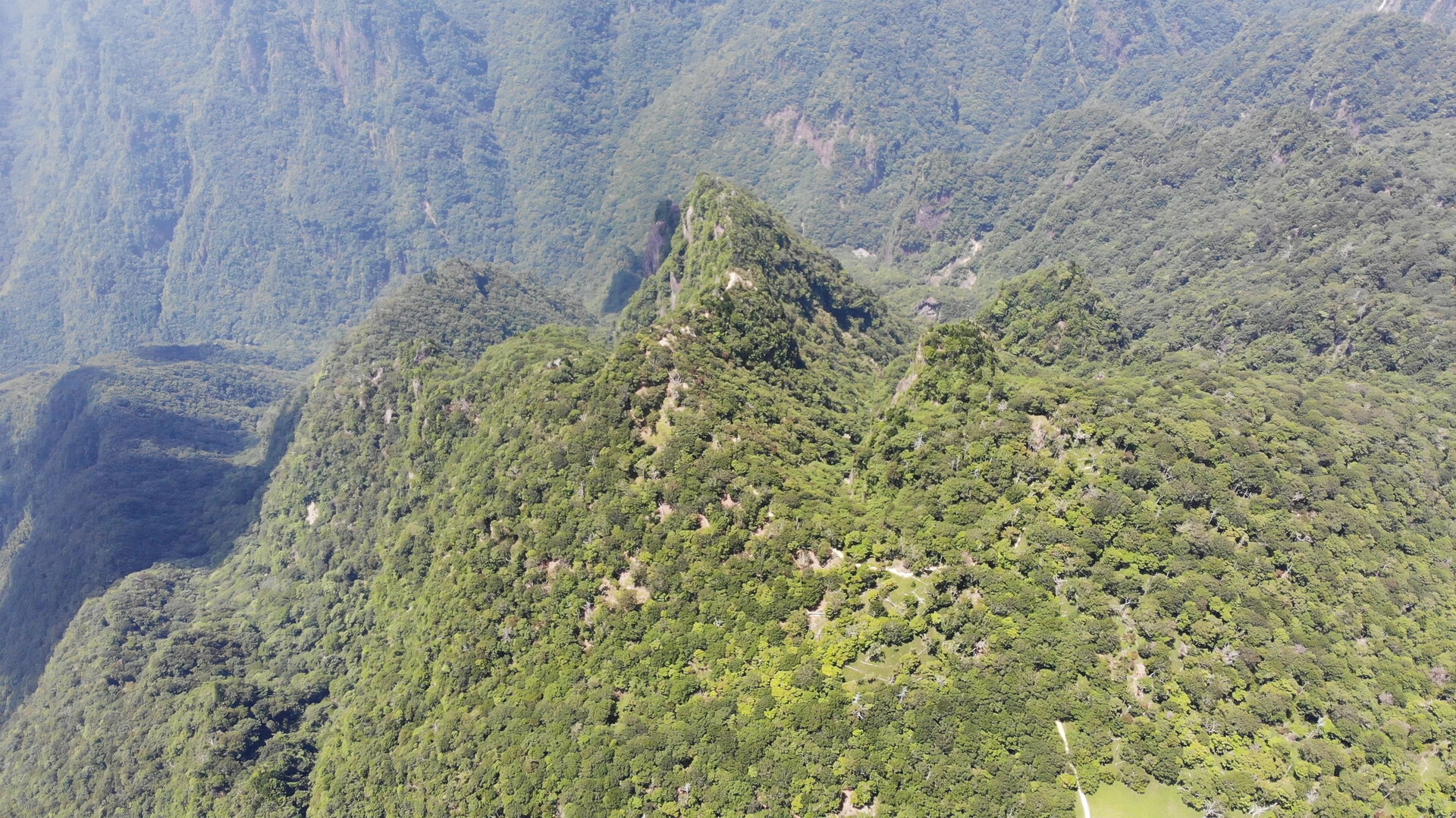 大台ヶ原 ばんちゃんさんの大台ヶ原山 日出ヶ岳 大杉谷の活動日記 Yamap ヤマップ
