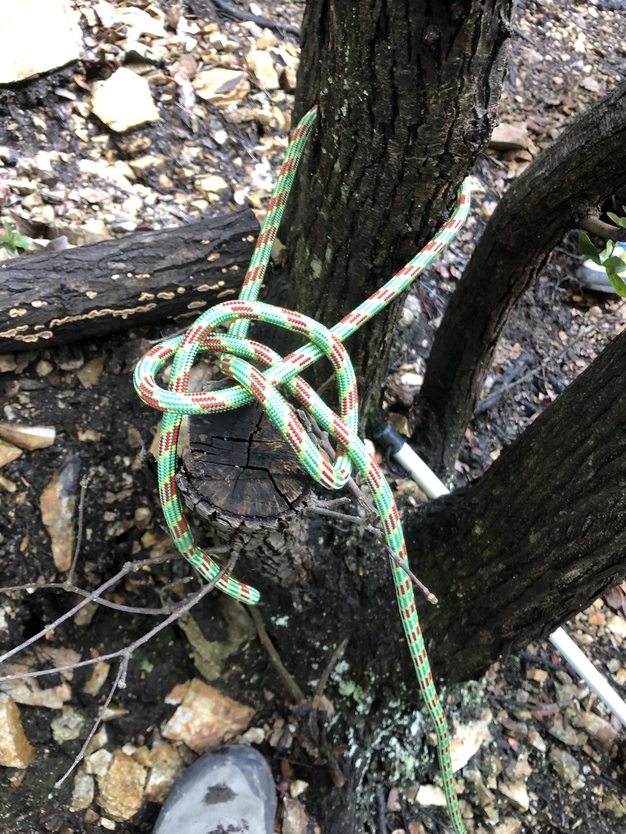 目標の最初の1歩 Yukiさんのクライミングの活動日記 Yamap ヤマップ