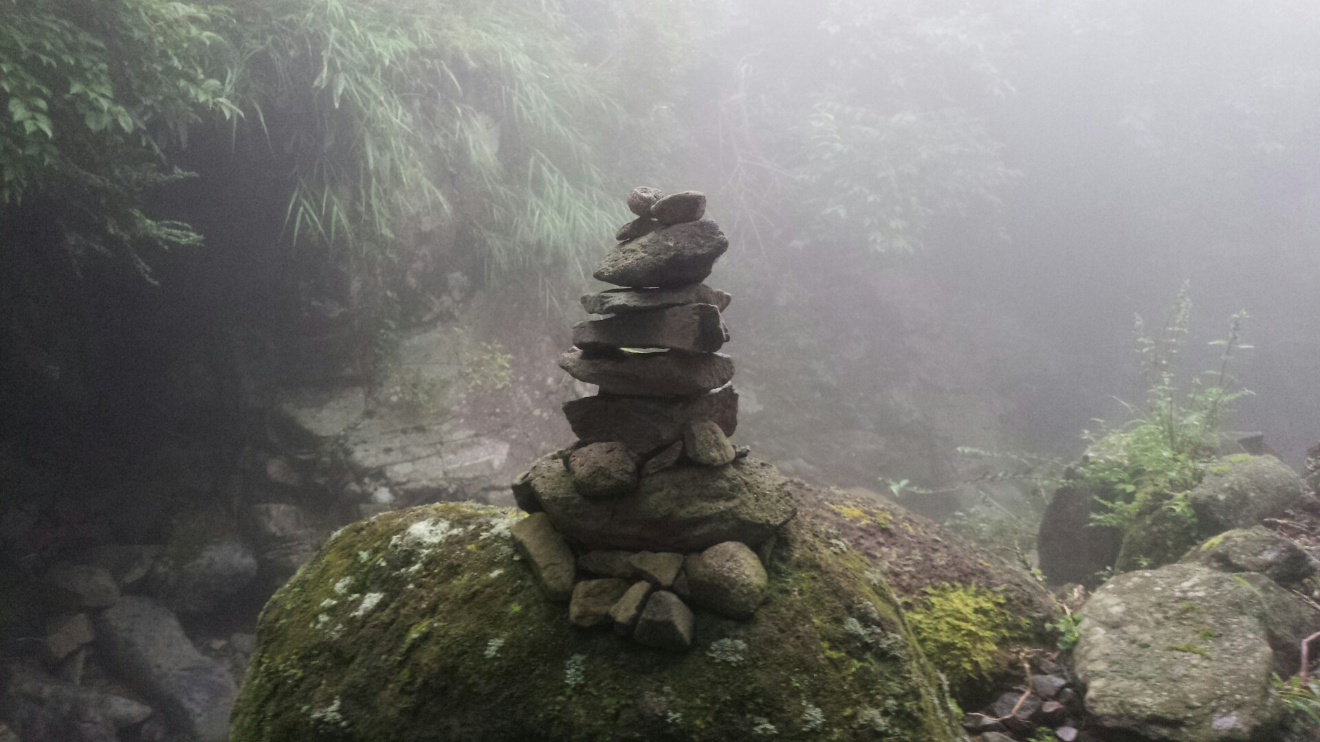 愛鷹山 熊注意 強風 雨 霧の日にトレーニング登山 ー黒岳 越前岳 呼子岳編 そしてケルンがあったとさ きんちゃんさんの愛鷹山 大岳 黒岳の活動日記 Yamap ヤマップ