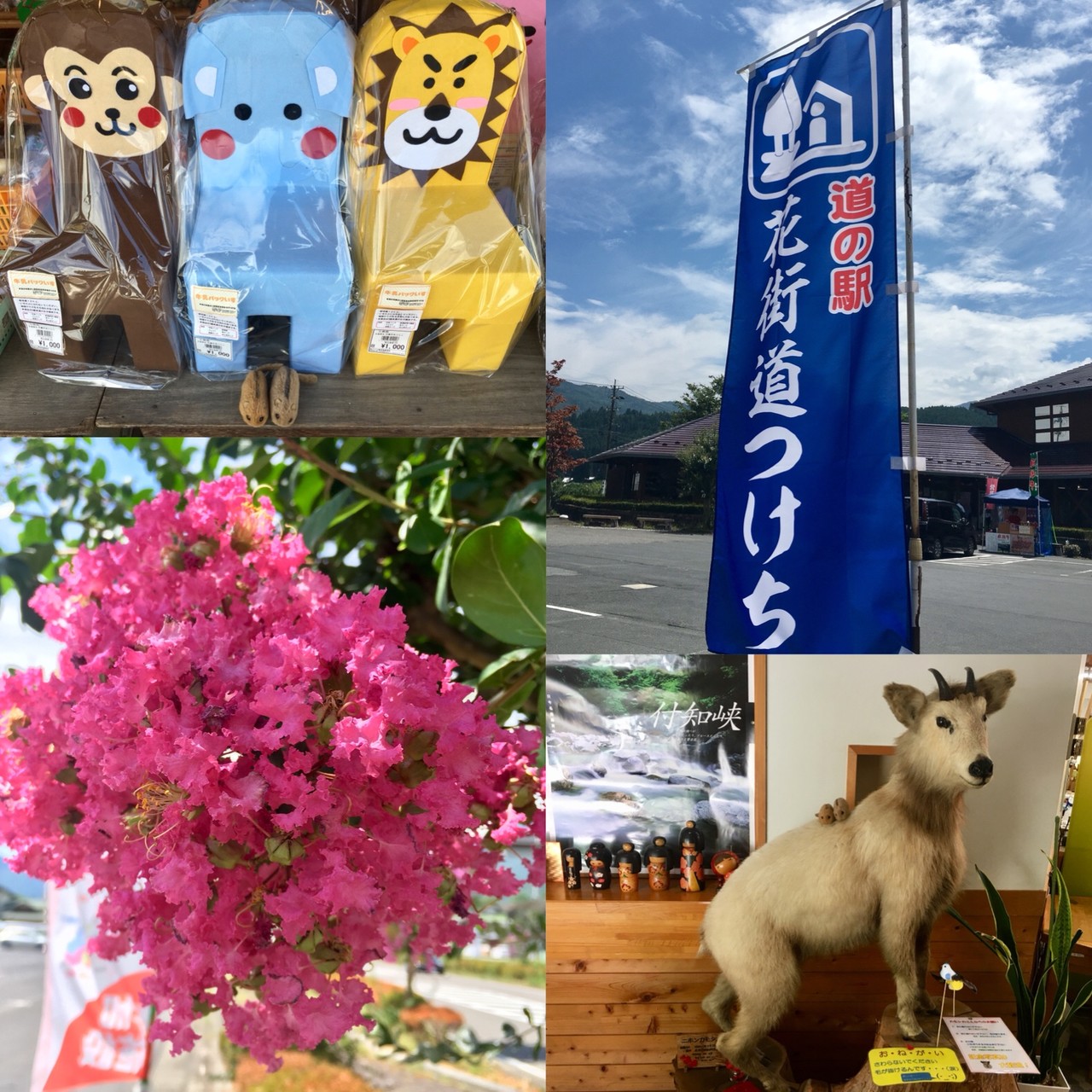 道の駅 花街道付知 の百日紅 サルスベリ うりやまさんの奥三界岳 夕森山の活動データ Yamap ヤマップ