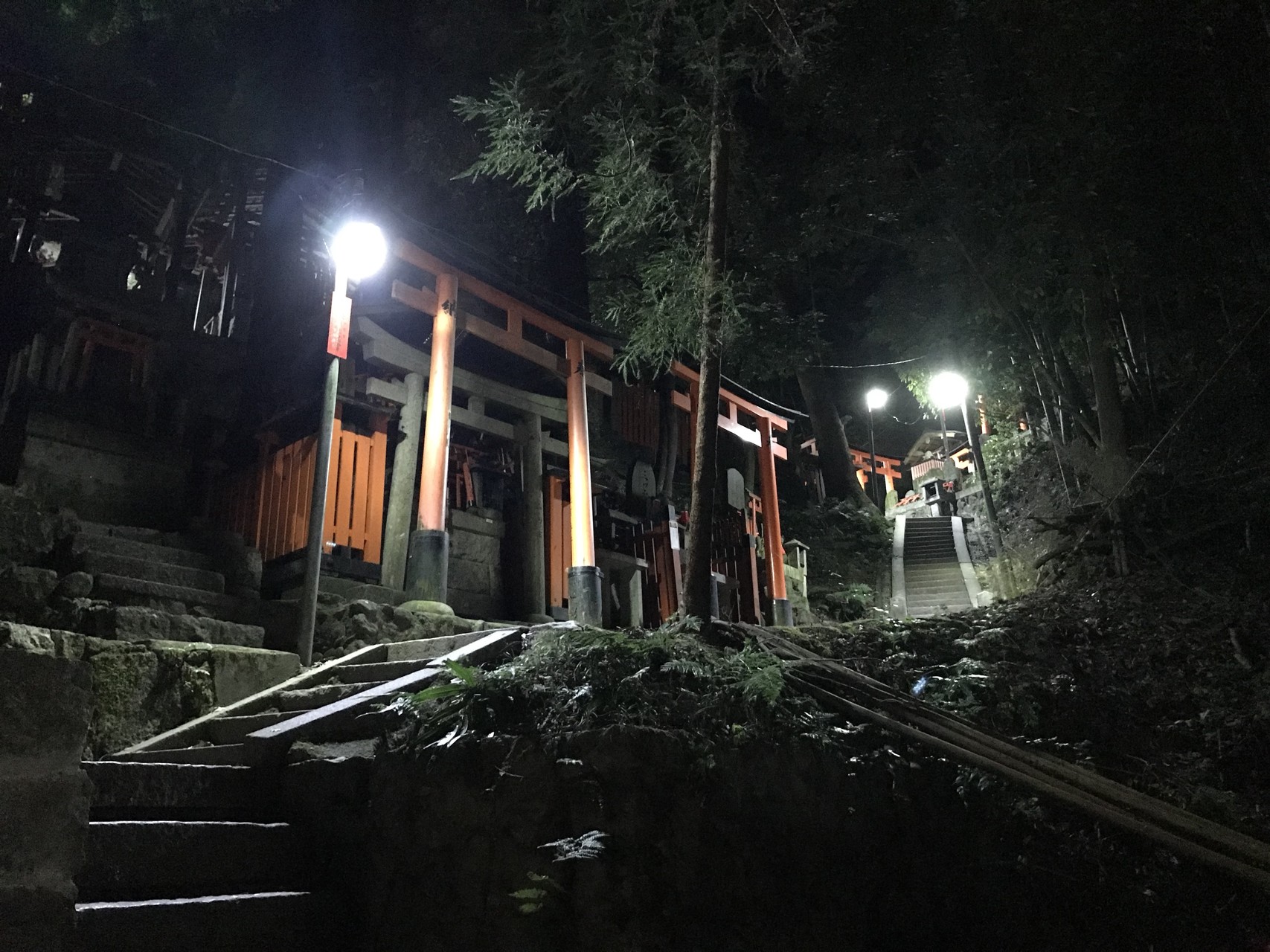 深夜の伏見稲荷大社 現実世界が辛過ぎるからちょっと異世界に転生してきます 最近のラノベ風に 社長aさんの京都市の活動日記 Yamap ヤマップ