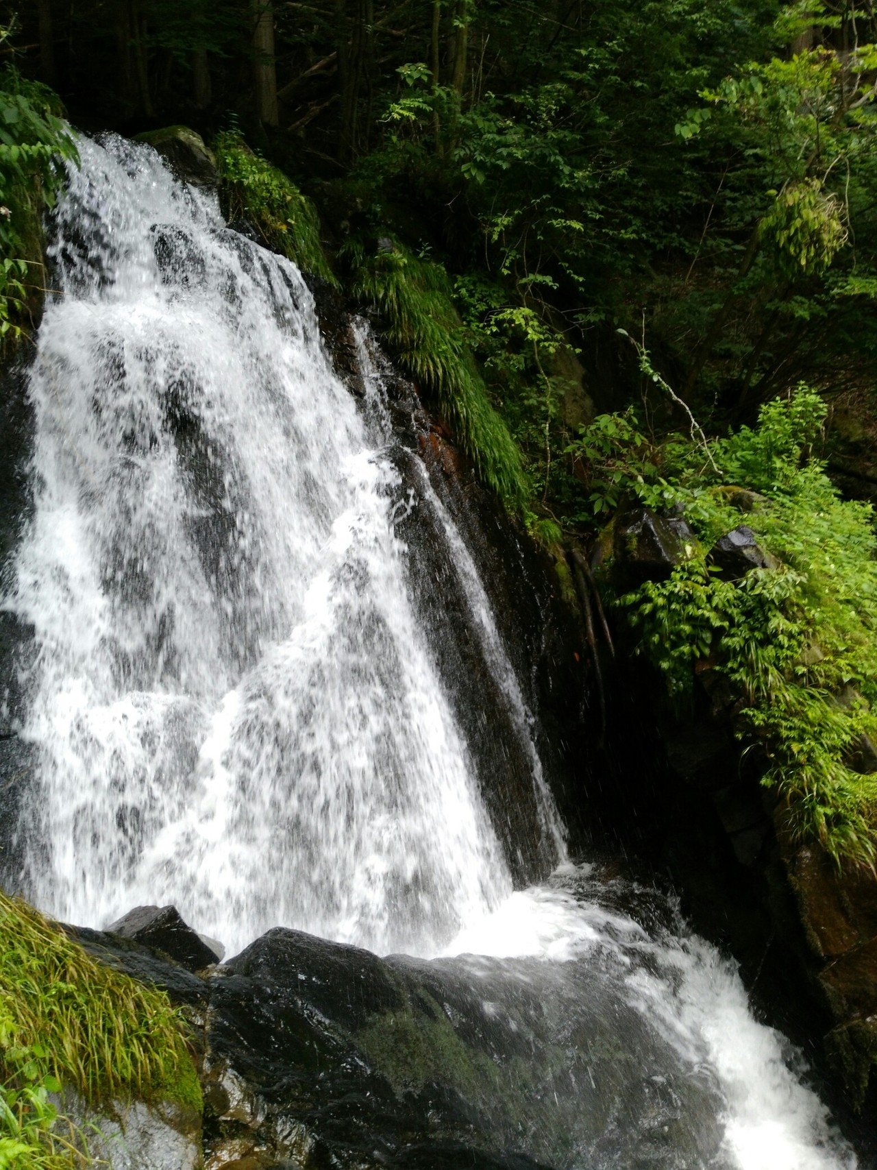 穴場の徳和渓谷 アズキさんの乾徳山 黒金山の活動データ Yamap ヤマップ