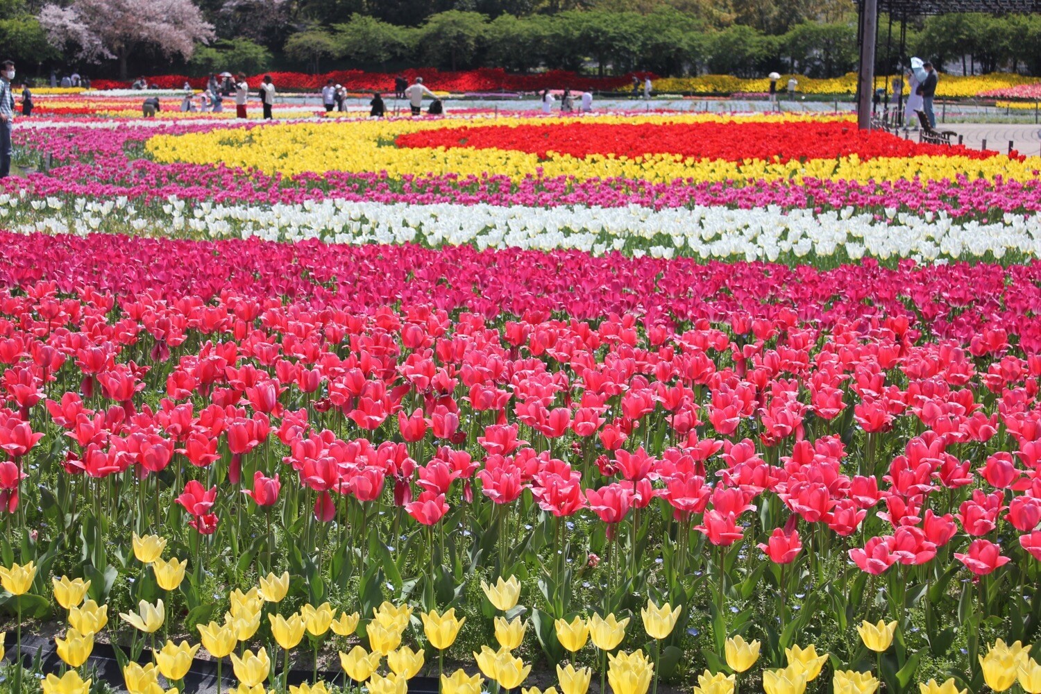 義理の父の 米寿のお祝いで三重県にある Konさんさんのモーメント Yamap ヤマップ