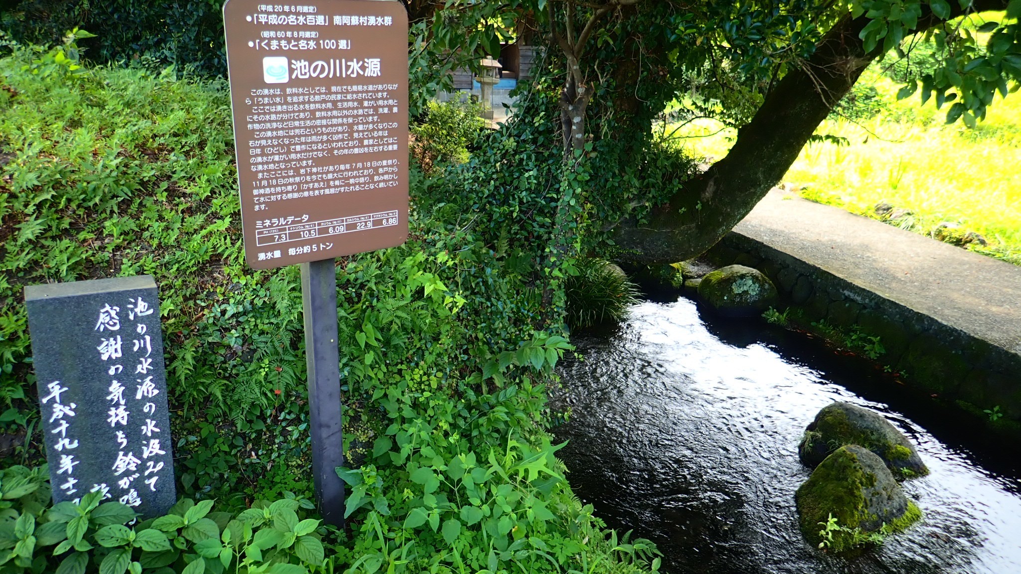 南阿蘇水源巡り マリさんの阿蘇カルデラ光の里山ハイクの活動日記 Yamap ヤマップ