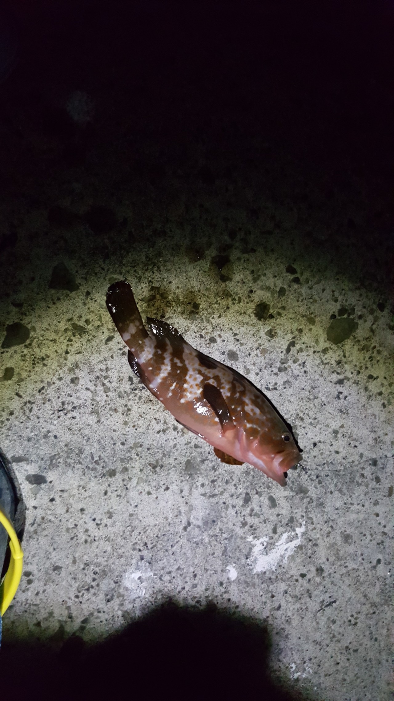 佐渡帰省2 あいぼんさんの佐渡島の活動日記 Yamap ヤマップ