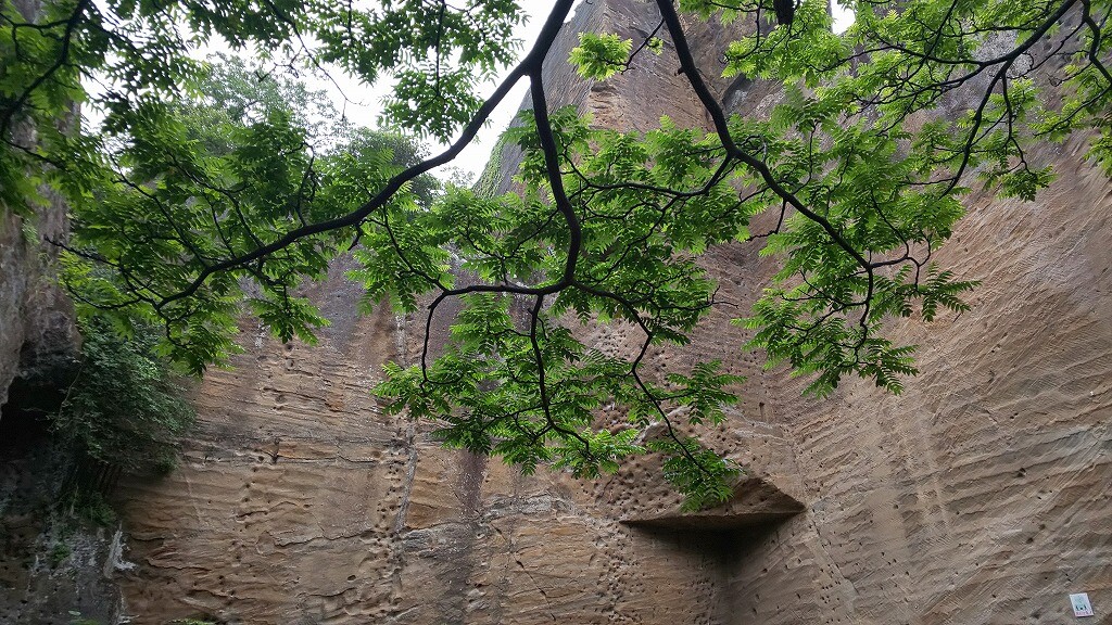 乗りかかっ た 船 と は どういう 状態