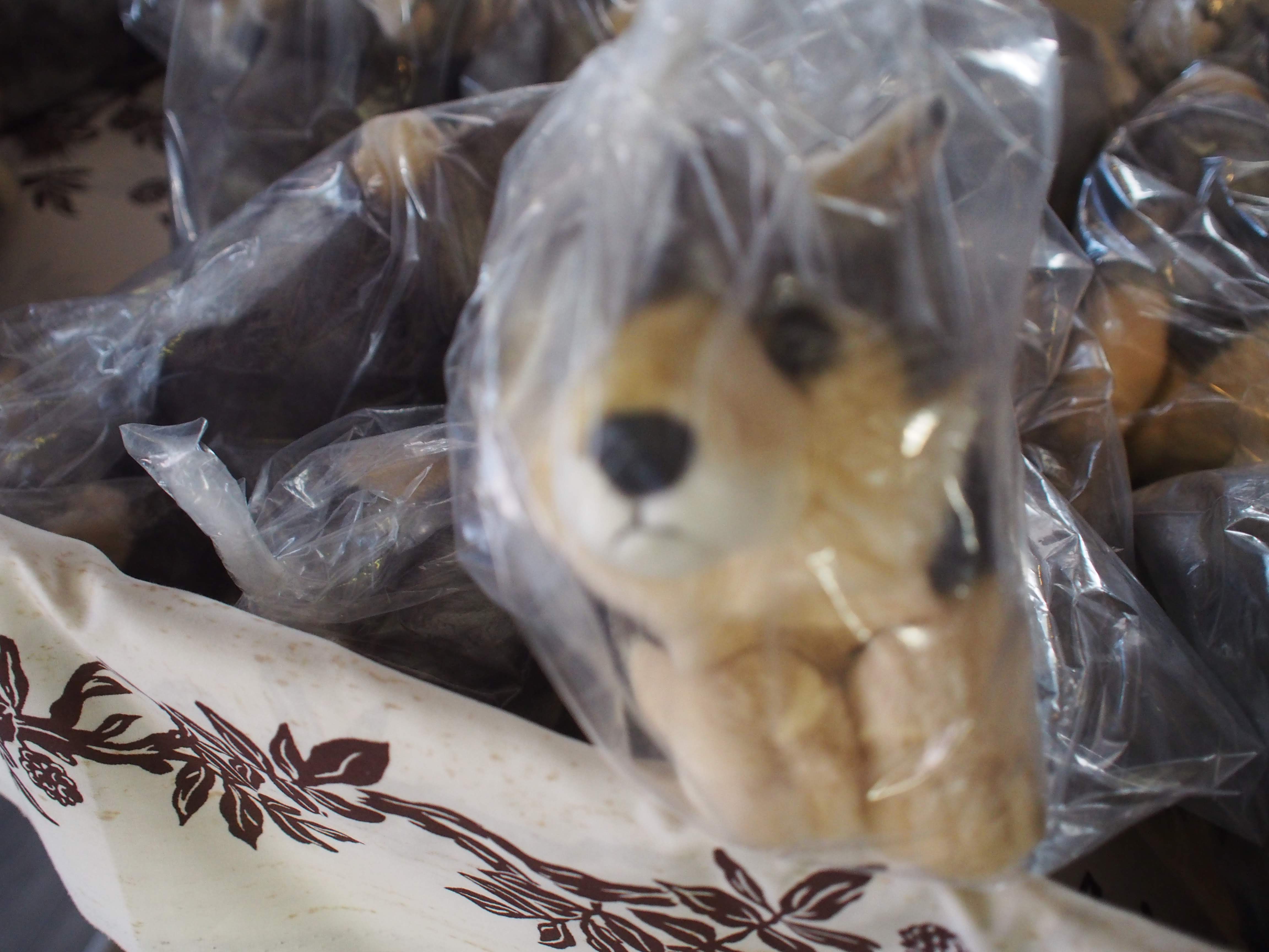 パワーを貰いに三峯神社 表参道 妙法ヶ岳 きりさんの秩父市の活動日記 Yamap ヤマップ