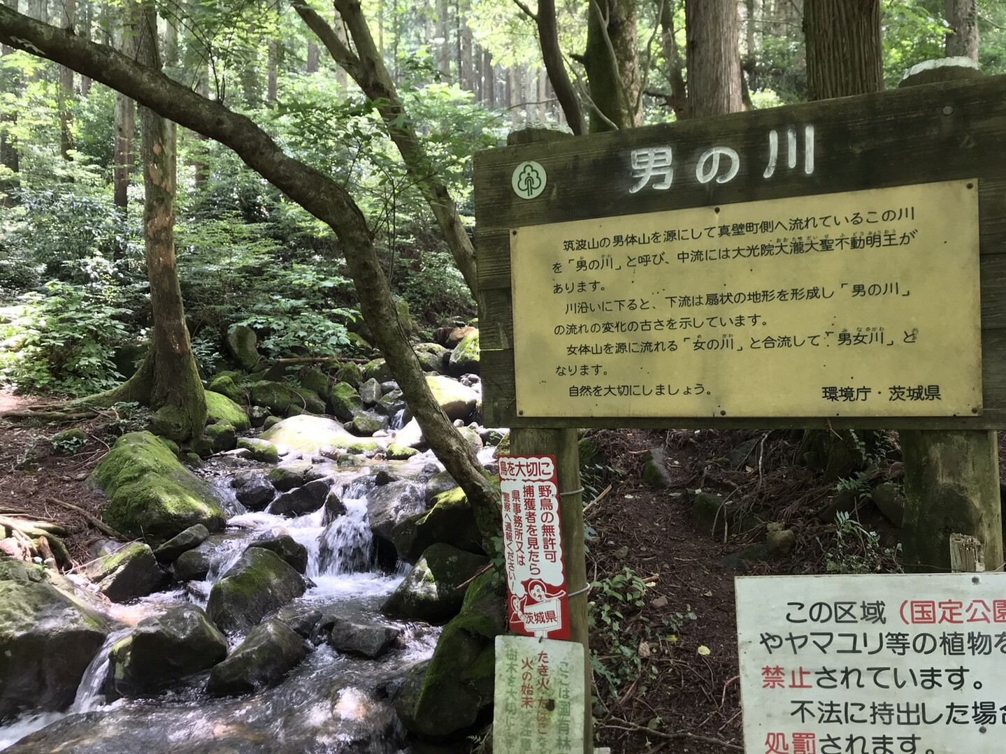 椎尾山 坊主山 筑波山 男体山 筑波山 女体山 みかぽん1221さんの筑波山の活動データ Yamap ヤマップ