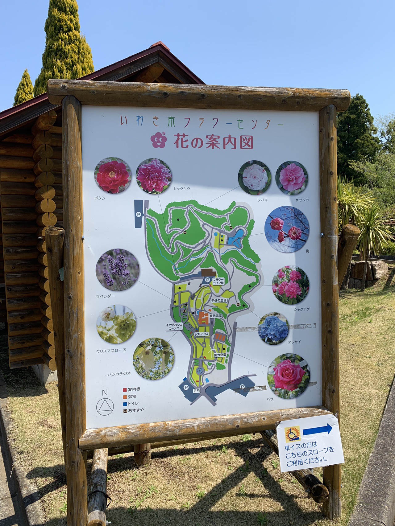 いわき市 2020 04 25石森山フラワーセンター ゆきこさんのいわき市の活動データ Yamap ヤマップ