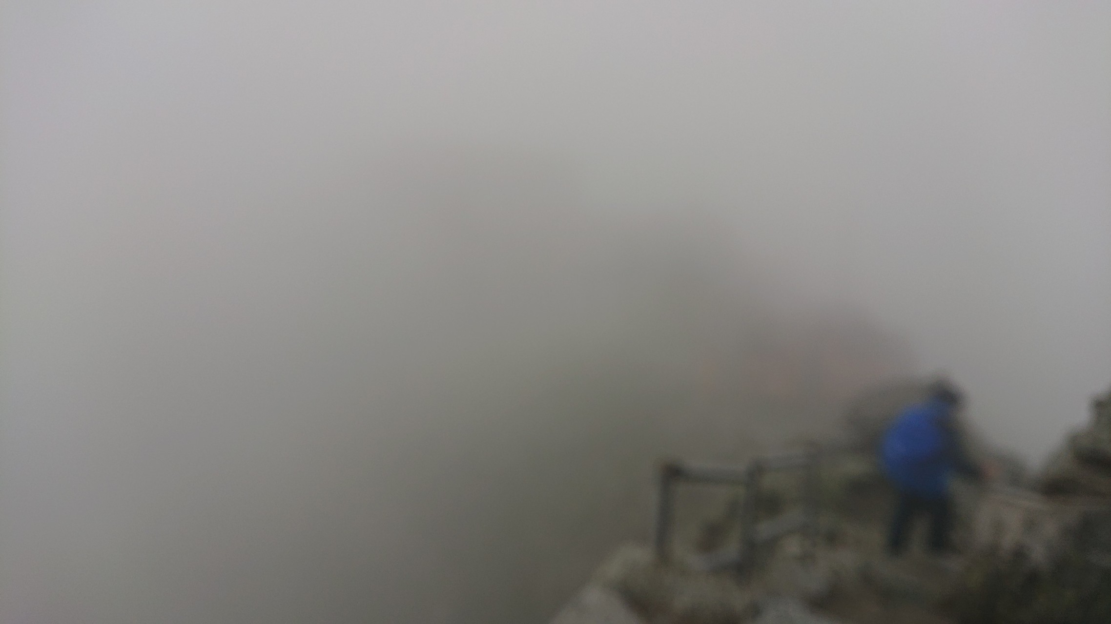 社務所が見えん。。。