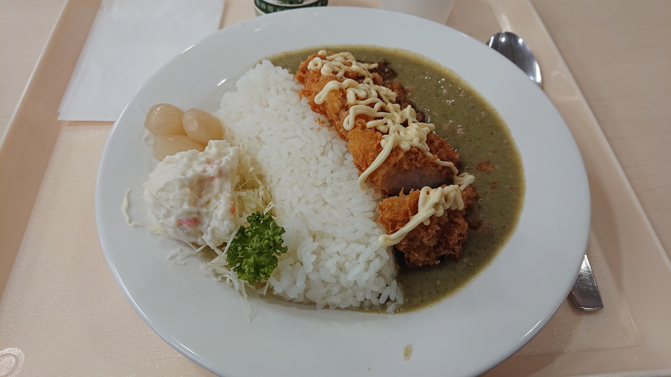 黒部ダムカツカレー♪
美味いけど、全然辛口じゃないし、量も少な目。