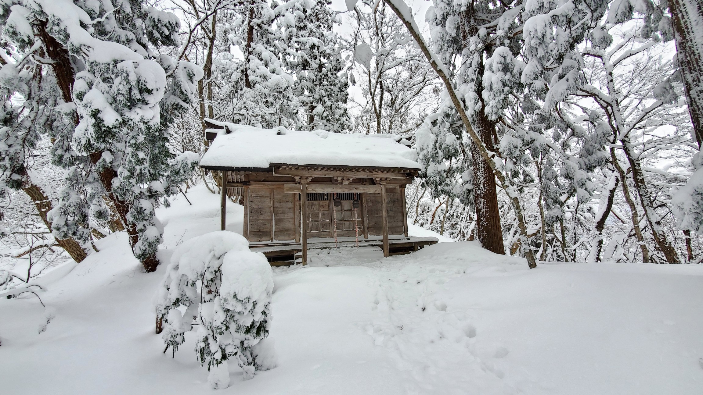 水晶山 独り占め Teppeiさんの水晶山 天童市 東根市 の活動日記 Yamap ヤマップ