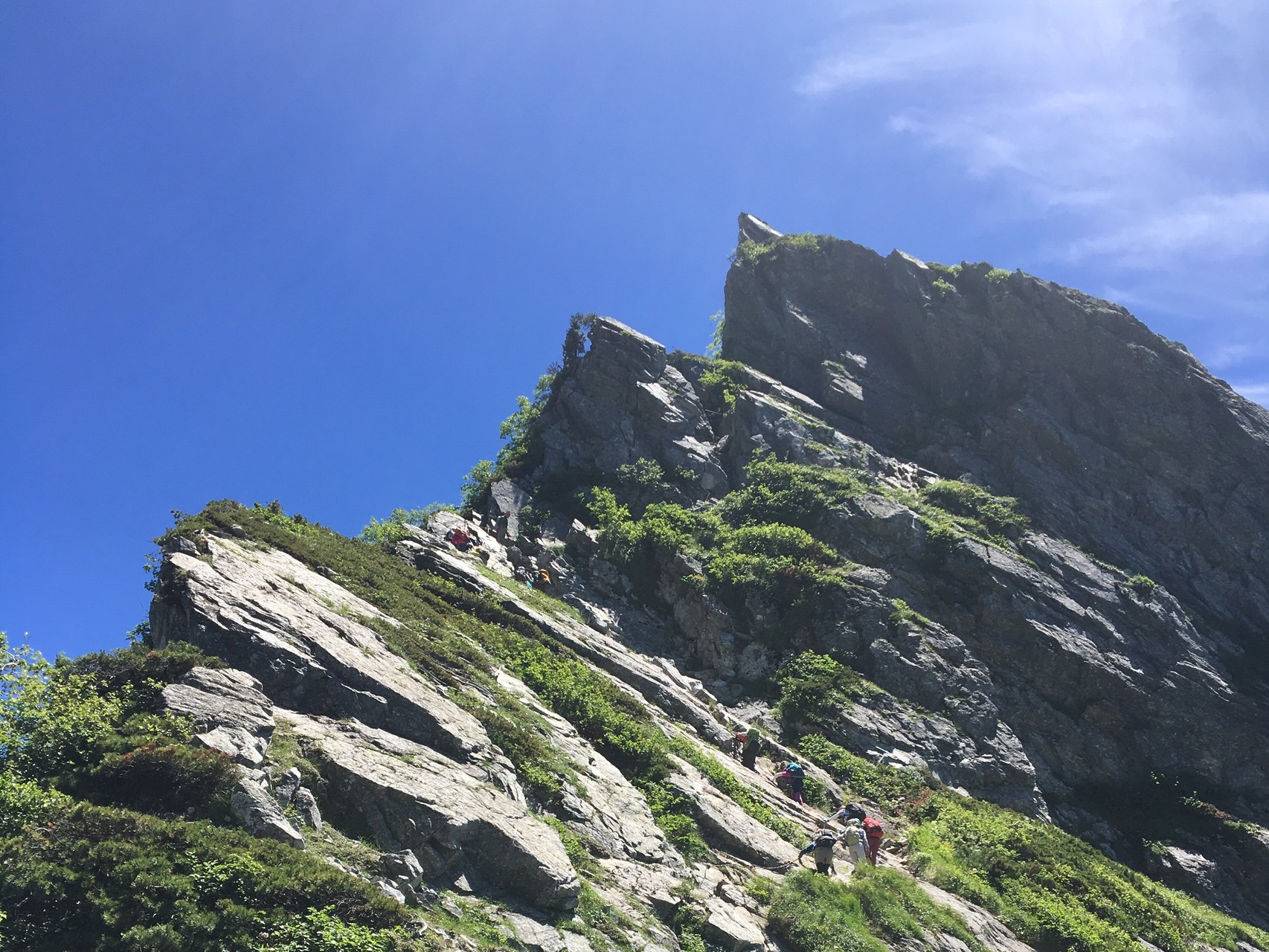 白馬三山 不帰ノ嶮から唐松岳へ Random Walkerさんの白馬岳 小蓮華山の活動データ Yamap ヤマップ