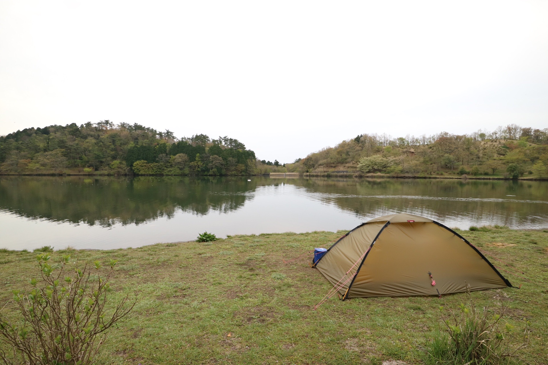 志高湖キャンプ場で散歩 しょーたさんの由布岳 鶴見岳の活動データ Yamap ヤマップ