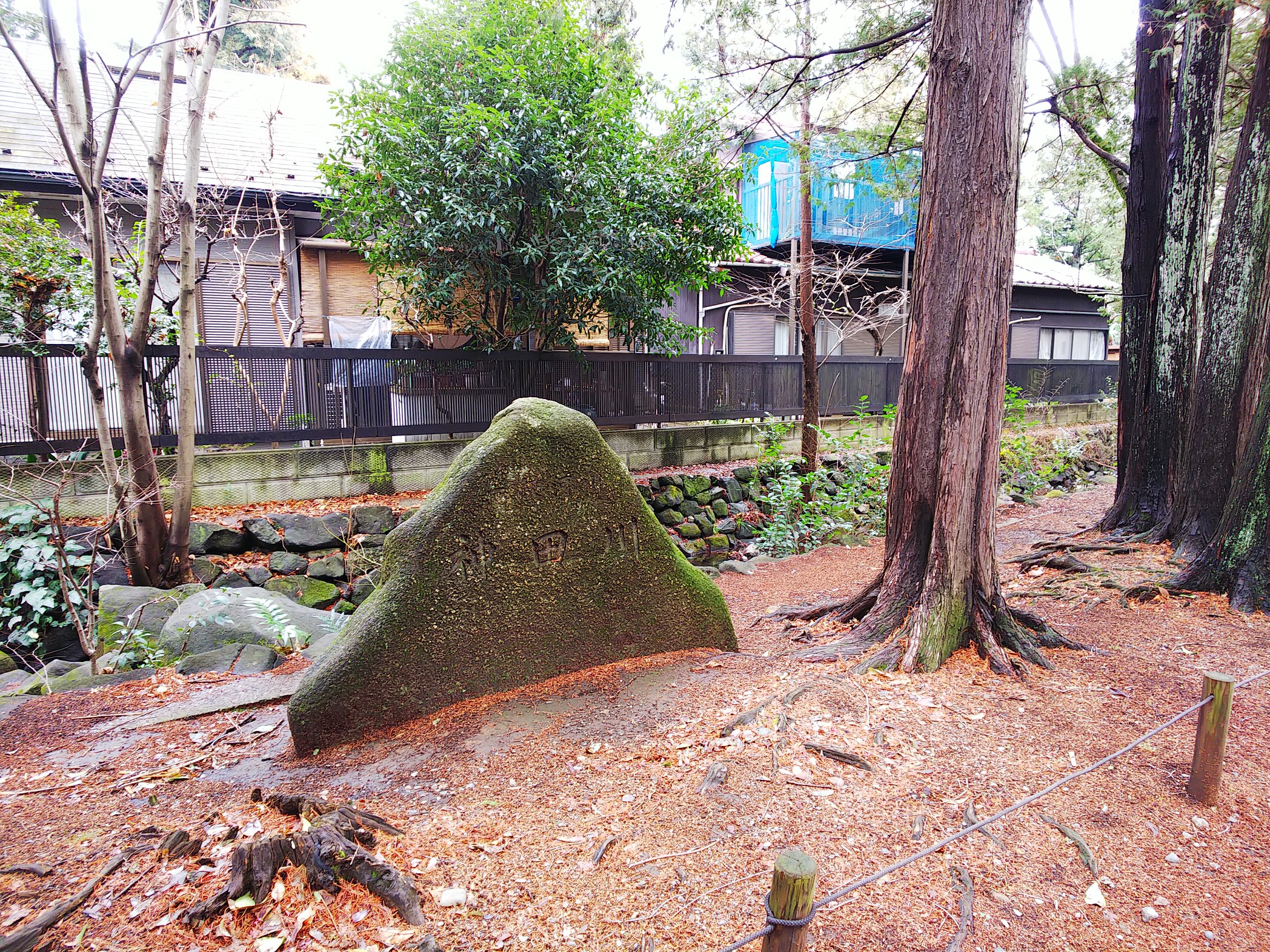 水辺ウォーキング 神田川の源流を歩く 井の頭公園 いくっちさんの東京都23区 西エリアの活動日記 Yamap ヤマップ