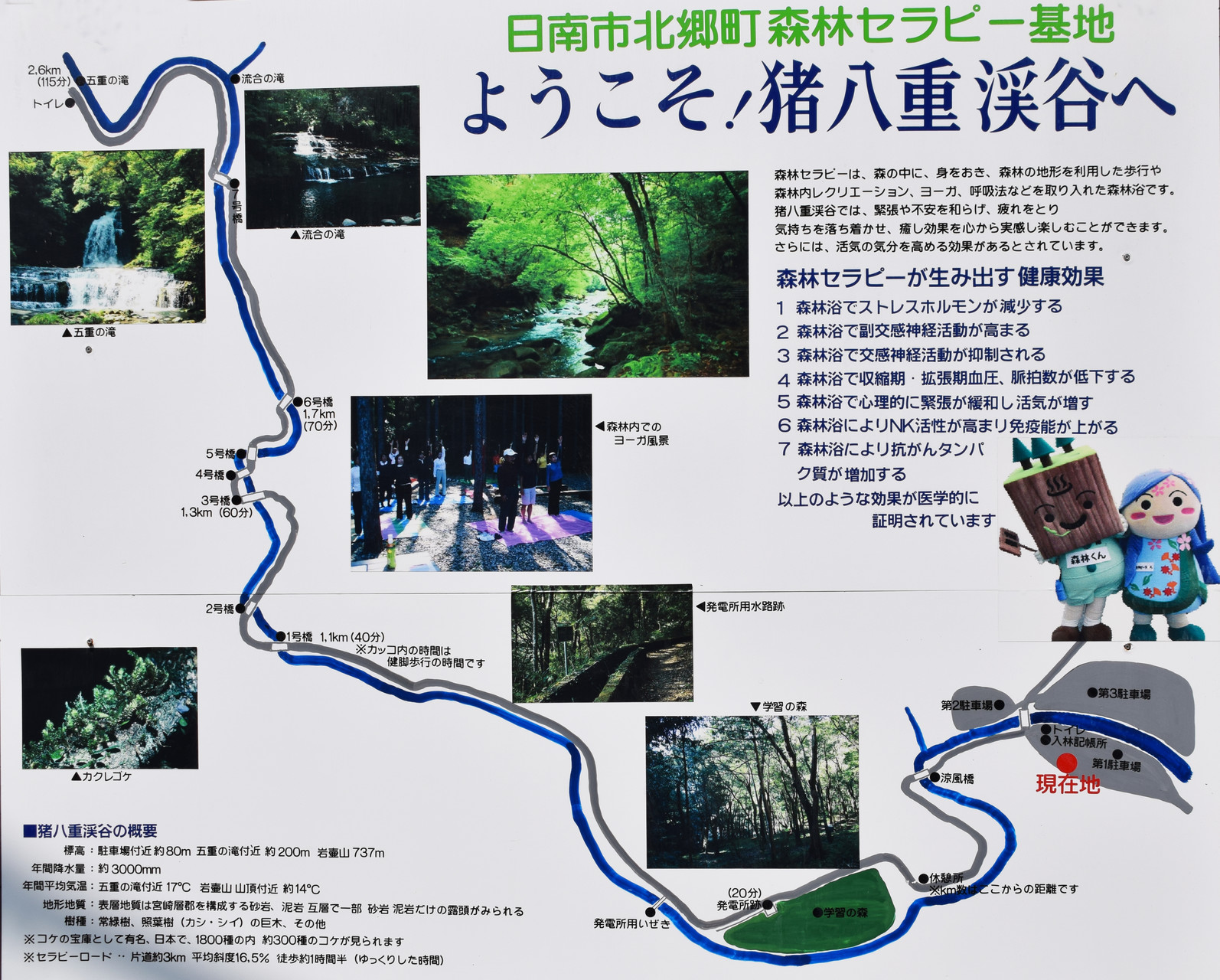 猪八重渓谷 五重滝を見に行く Kaseiさんの双石山 花切山 岩壺山の活動日記 Yamap ヤマップ