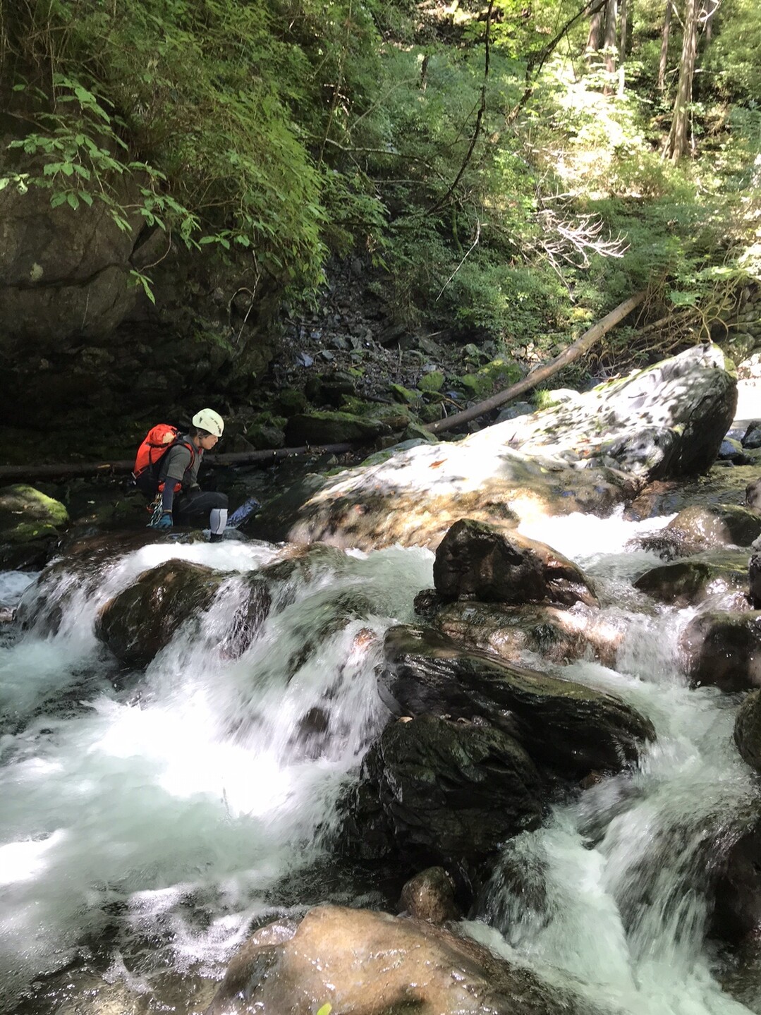 日原川倉沢谷 沢登り8 15 川苔山 川乗山 の写真2枚目 まあまあの水量 Yamap ヤマップ