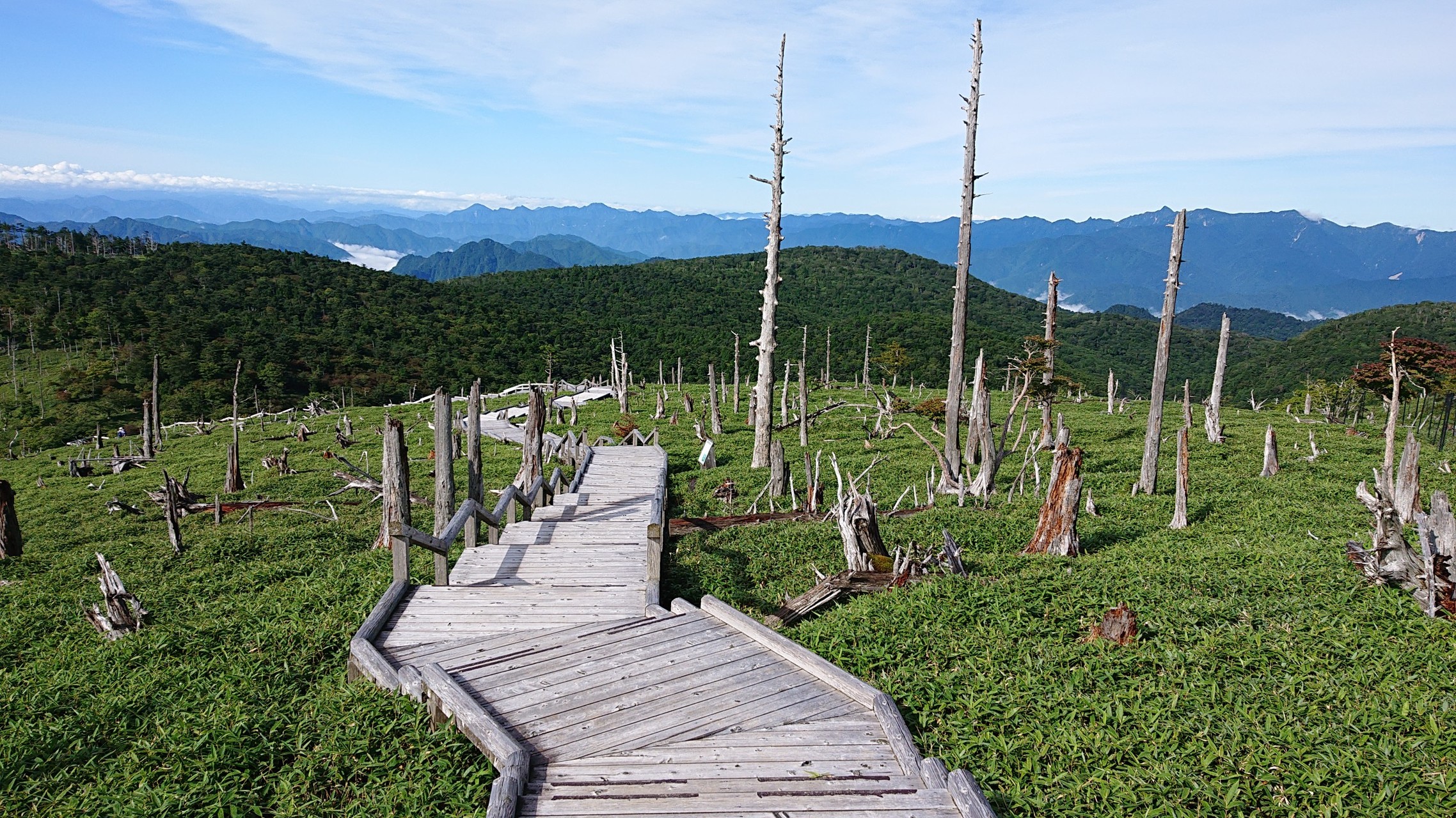 大台ヶ原 めちゃ怖い大蛇グラの先っぽ やまビートさんの大台ヶ原山 日出ヶ岳 大杉谷の活動データ Yamap ヤマップ